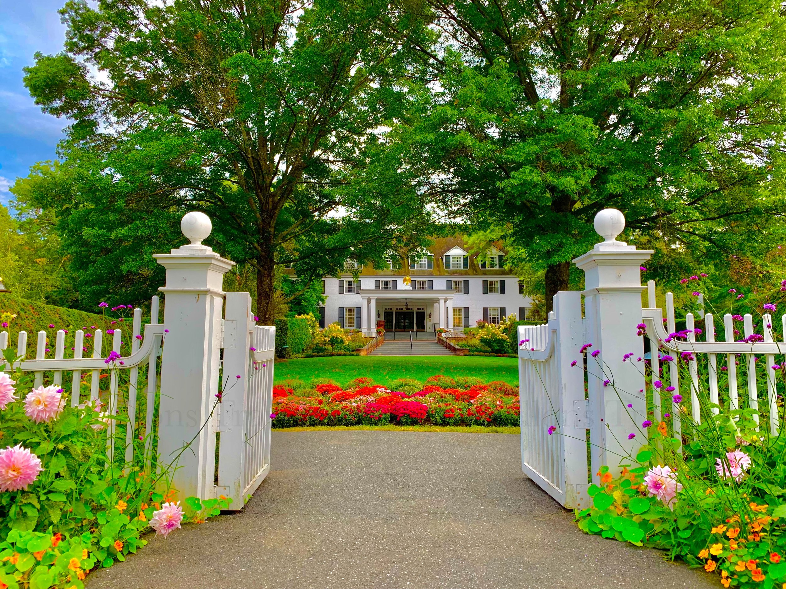 eZy Watermark_27-01-2026_09-59-41-9670PM.jpg