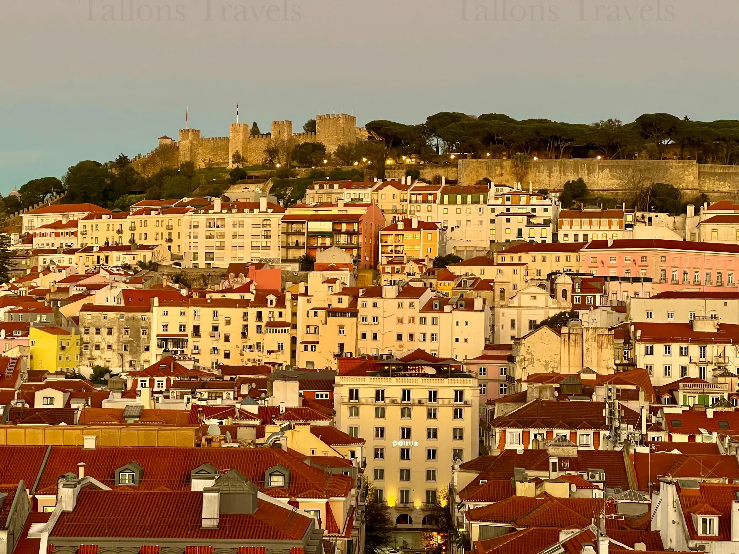 eZy Watermark_23-01-2026_10-55-58-3290PM.jpg