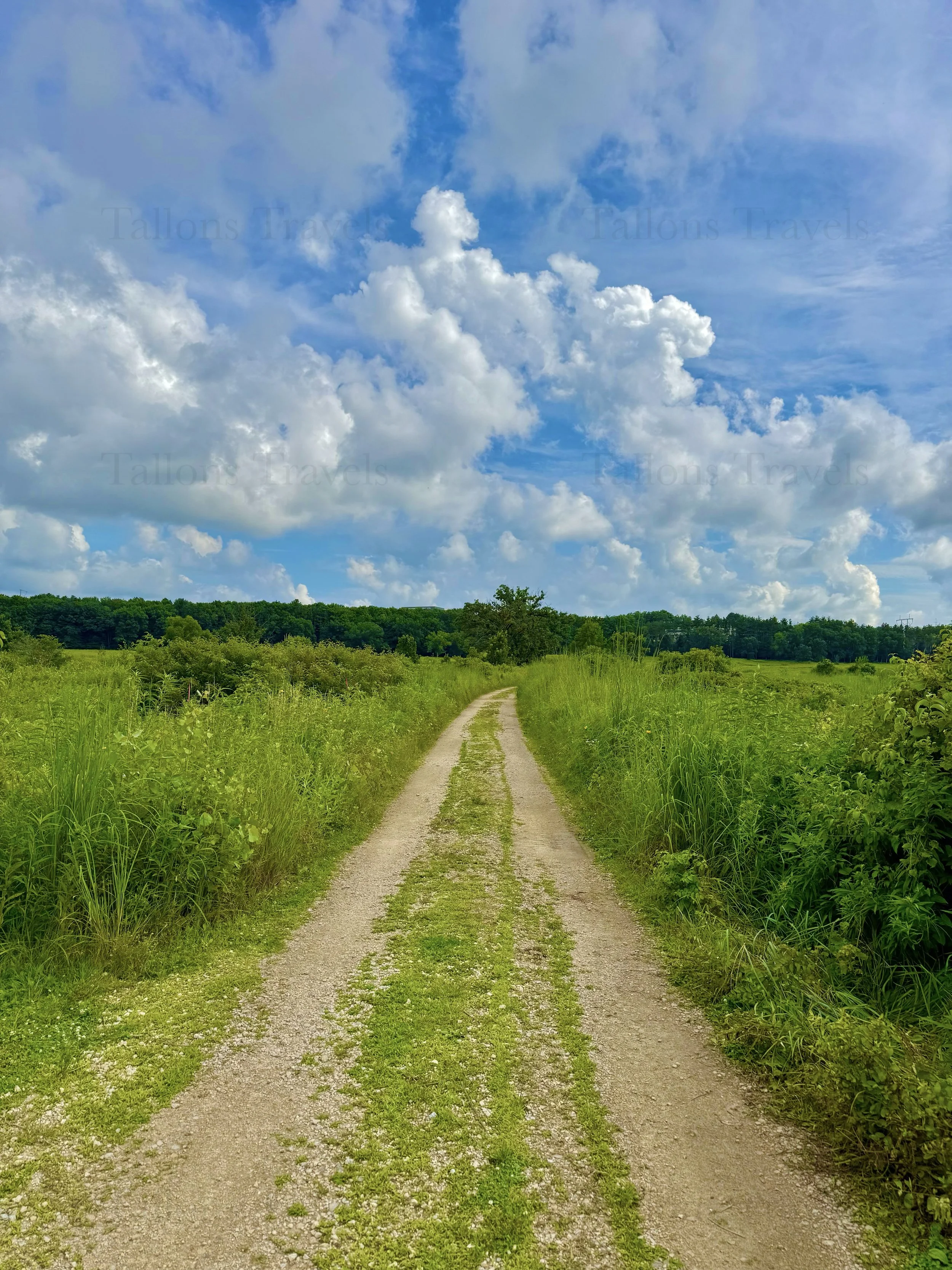 eZy Watermark_23-01-2026_10-38-47-0060PM.jpg