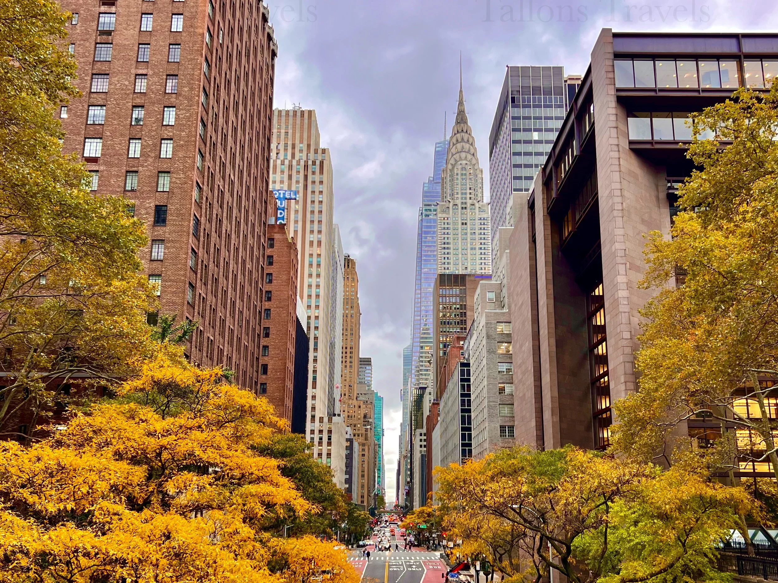 eZy Watermark_23-01-2026_11-19-30-8810PM.jpg