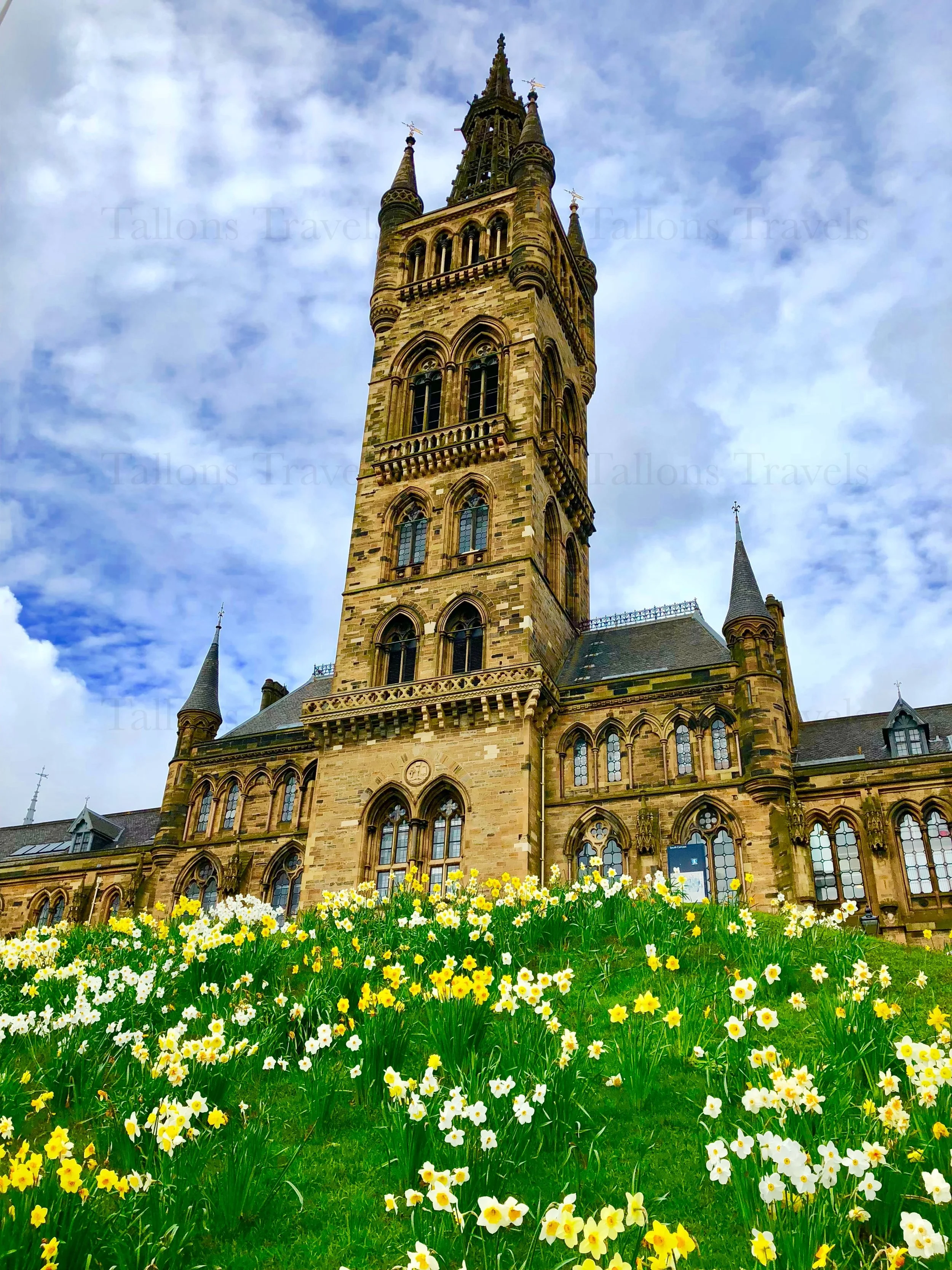 eZy Watermark_27-01-2026_09-47-34-6020PM.jpg