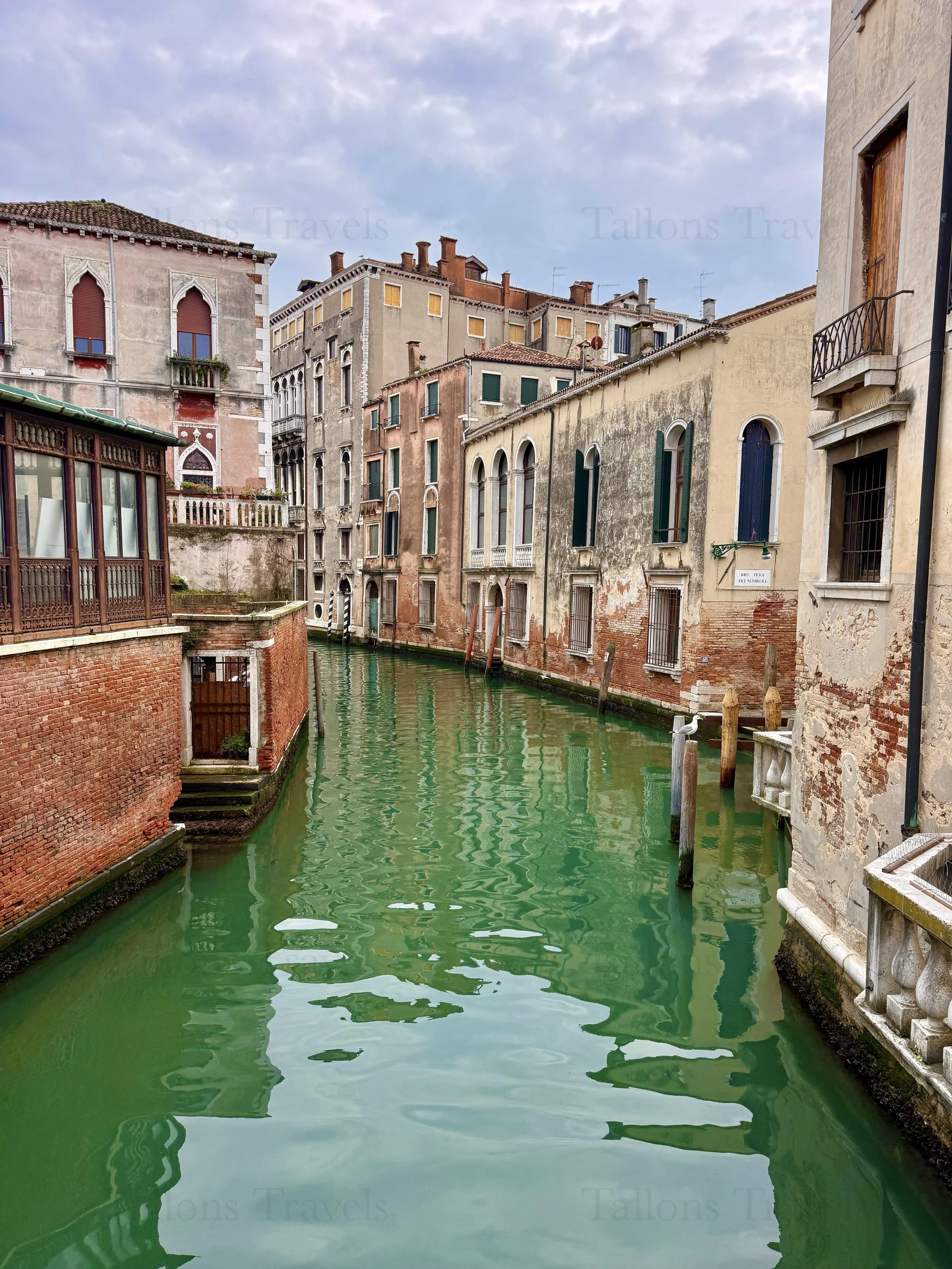 eZy Watermark_04-03-2026_06-24-33-6870PM.jpg