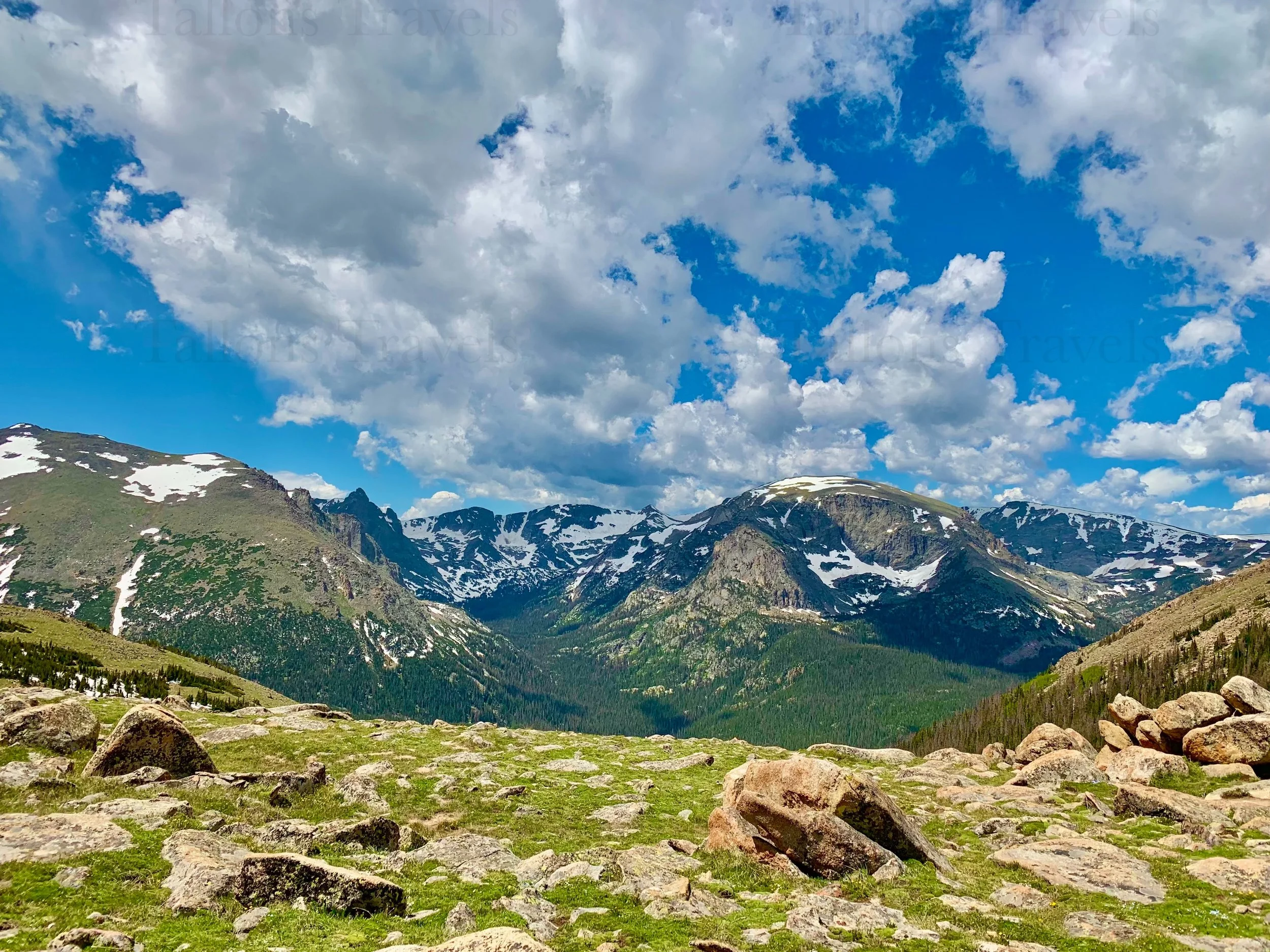 eZy Watermark_27-01-2026_09-39-32-2740PM.jpg