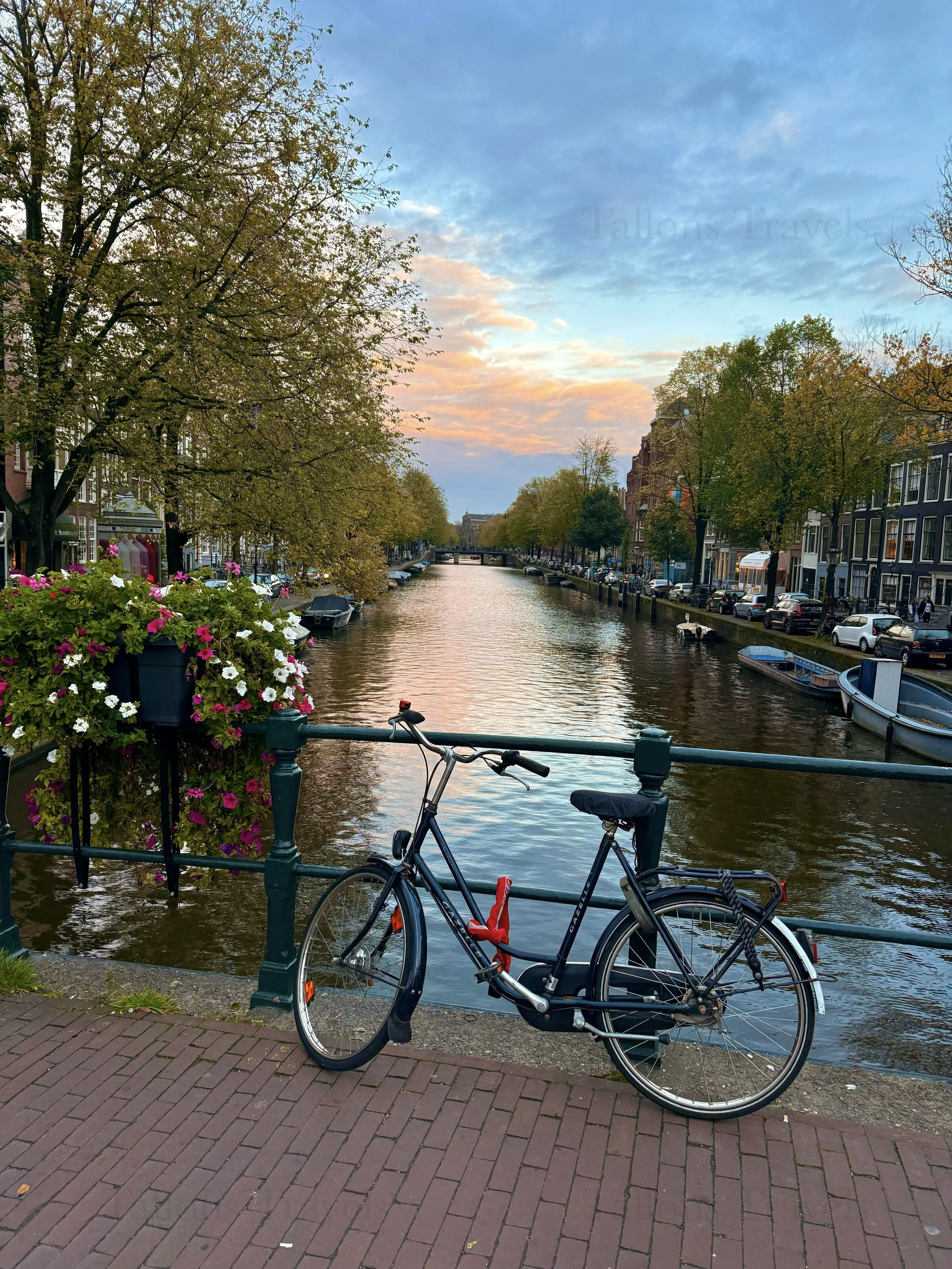 eZy Watermark_23-01-2026_11-38-18-8450AM.jpg