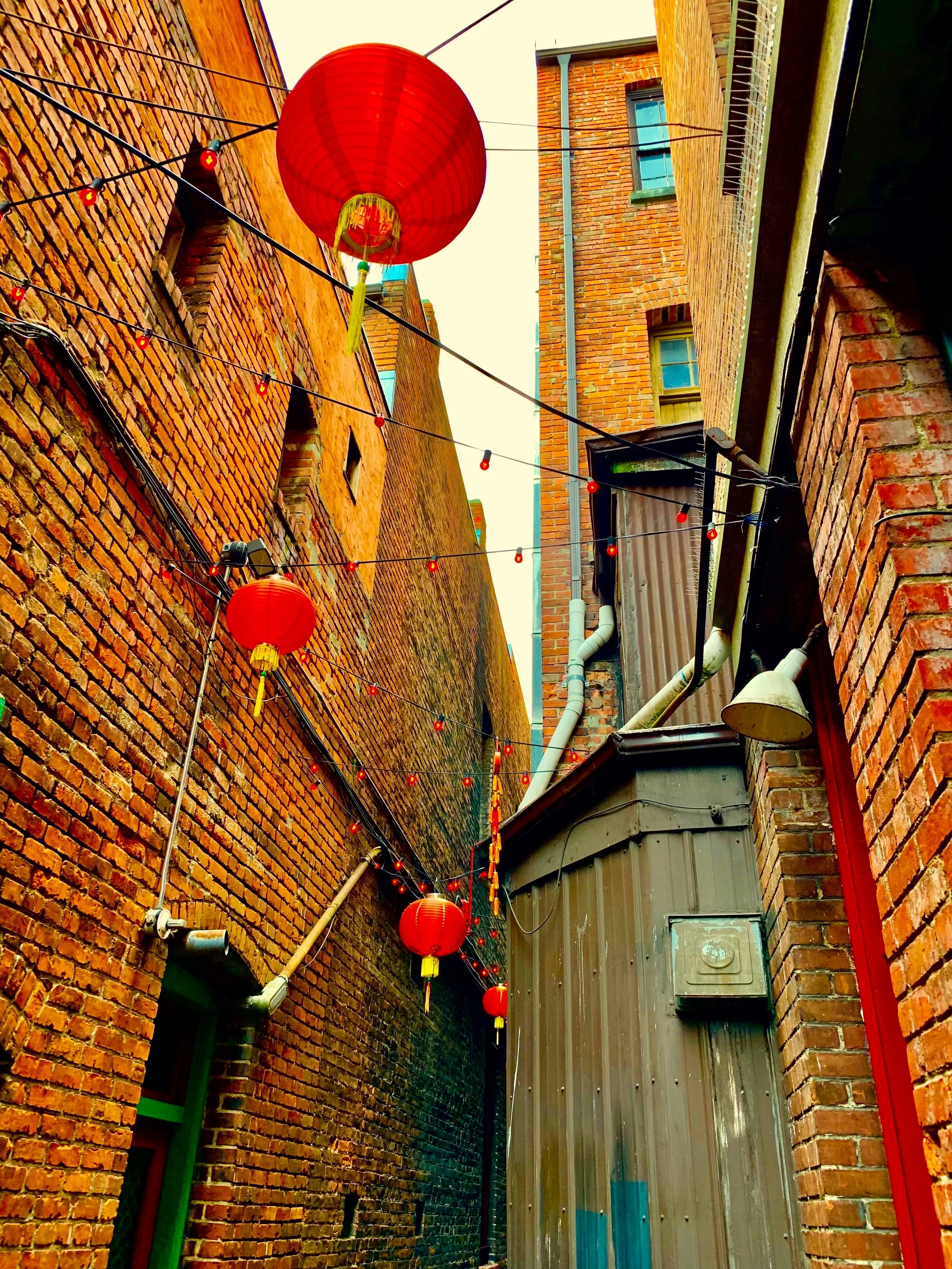 eZy Watermark_27-01-2026_09-11-18-7460PM.jpg