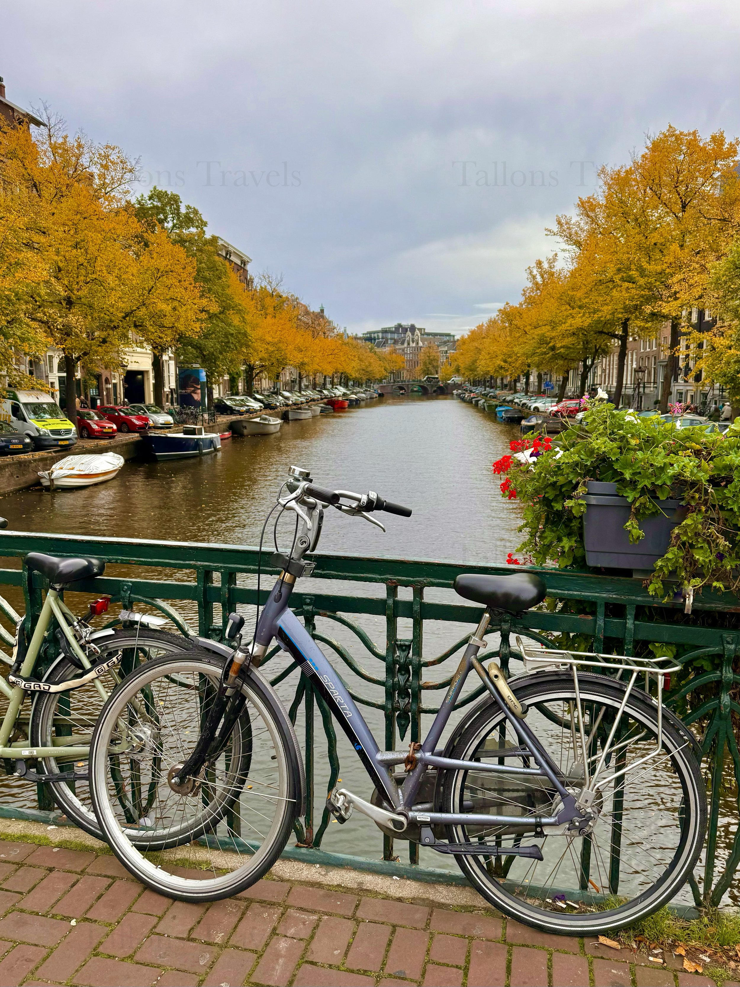 eZy Watermark_23-01-2026_11-38-01-3170AM.jpg