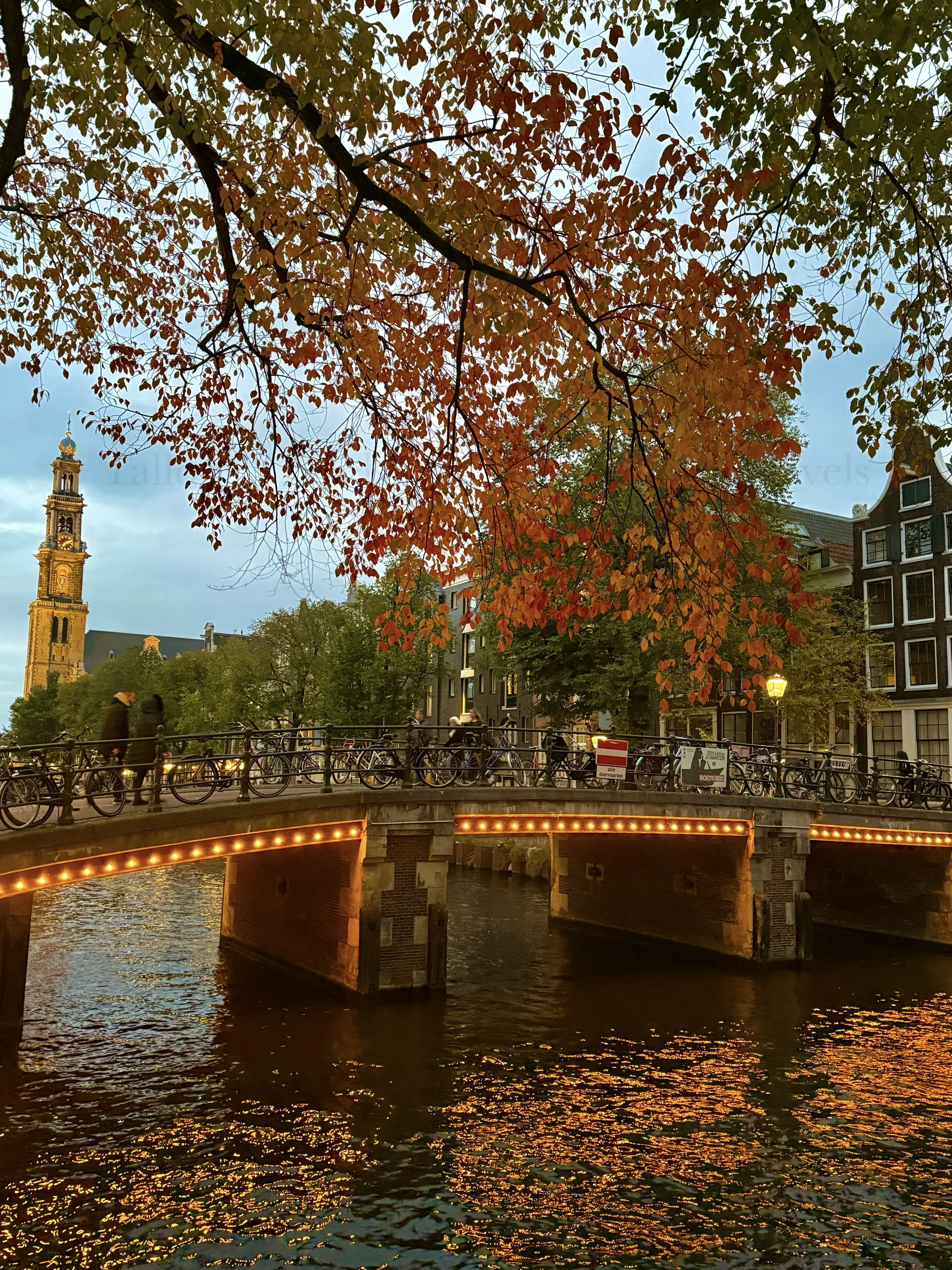 eZy Watermark_23-01-2026_11-38-22-6620AM.jpg