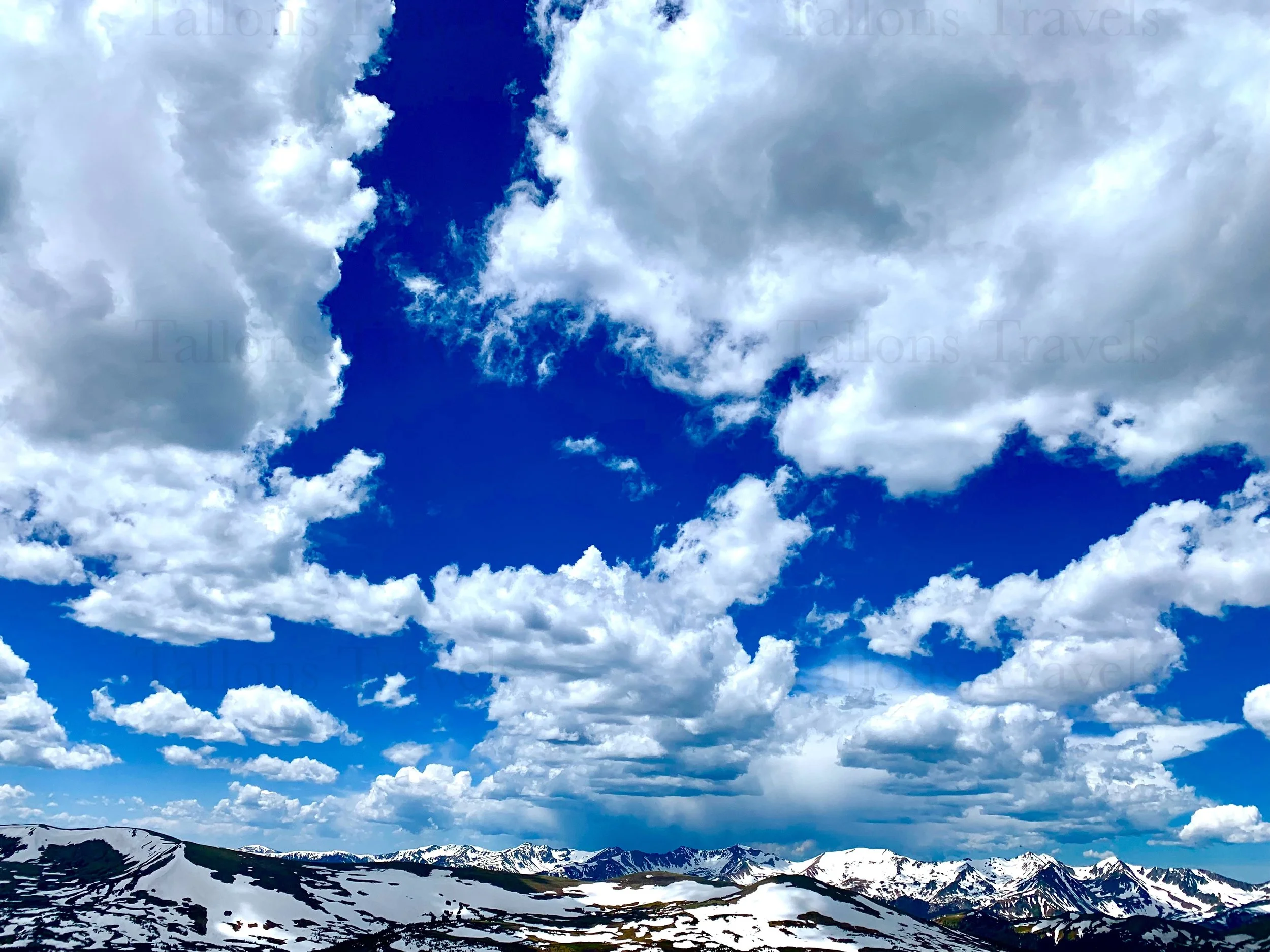 eZy Watermark_27-01-2026_09-39-36-2630PM.jpg