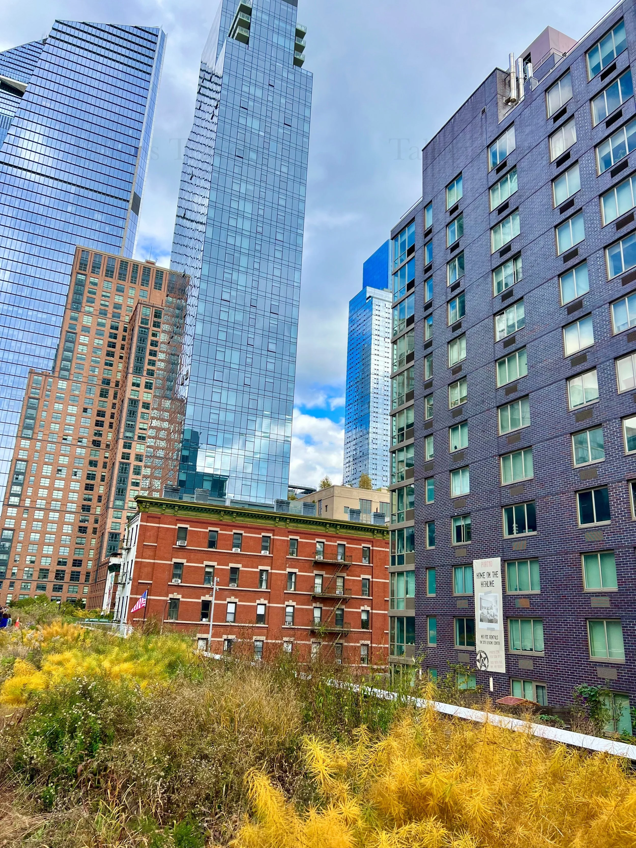 eZy Watermark_23-01-2026_11-18-51-9030PM.jpg