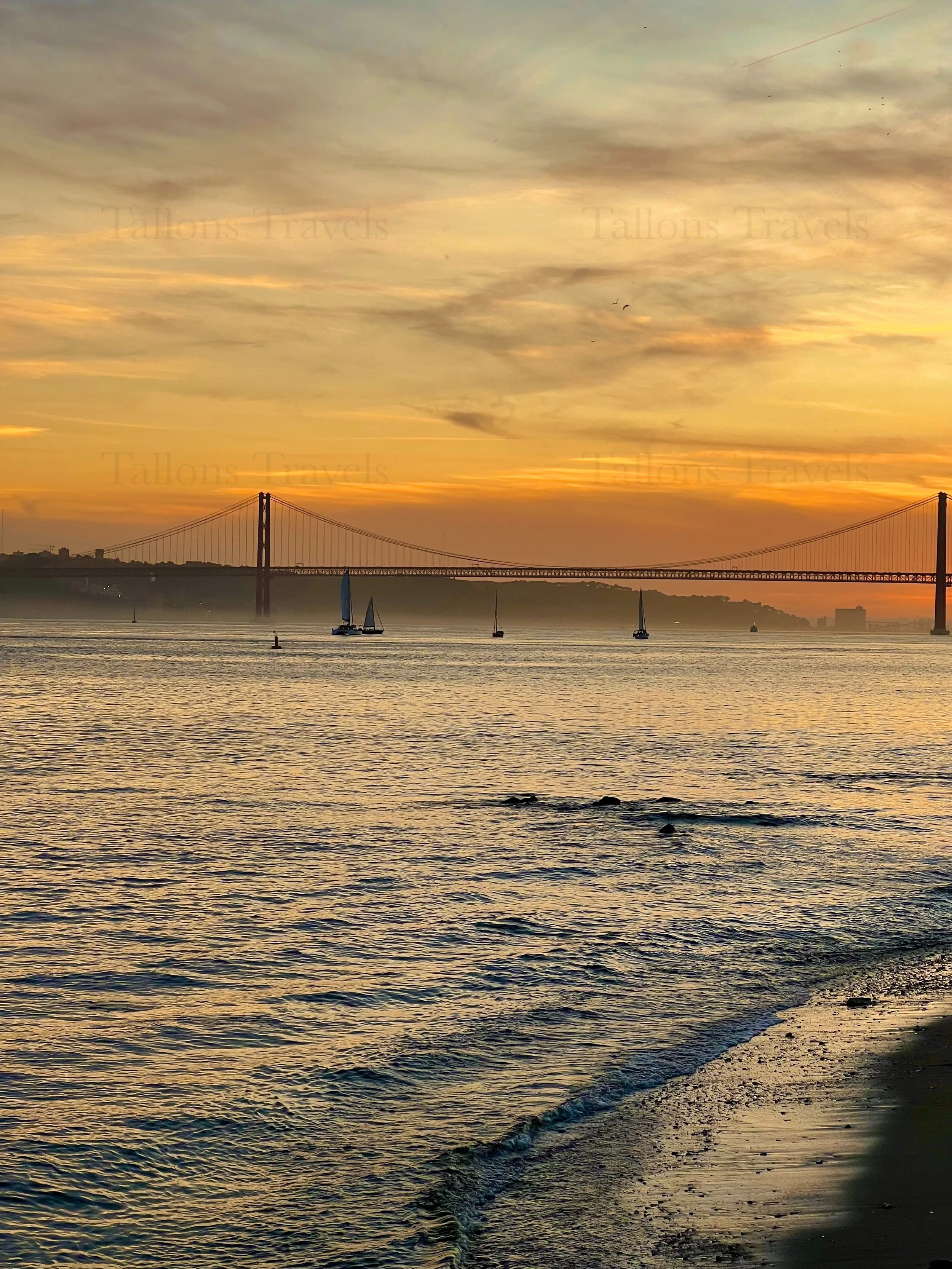 eZy Watermark_23-01-2026_11-03-59-8190PM.jpg