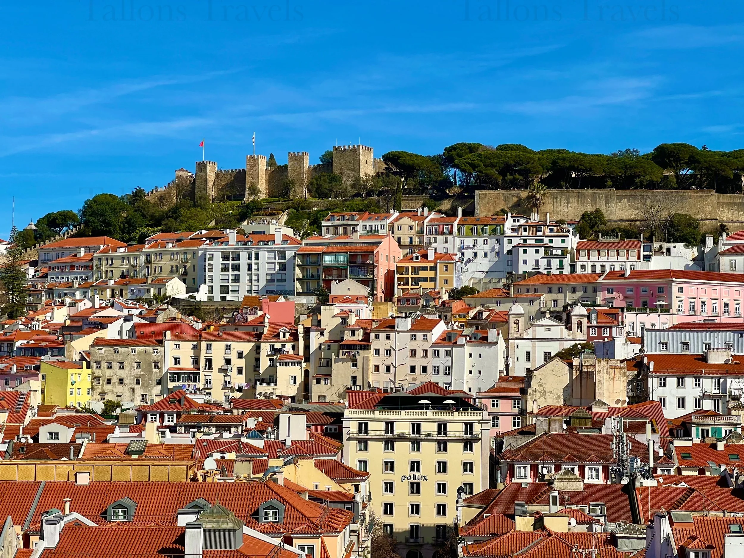 eZy Watermark_23-01-2026_11-03-53-1860PM.jpg