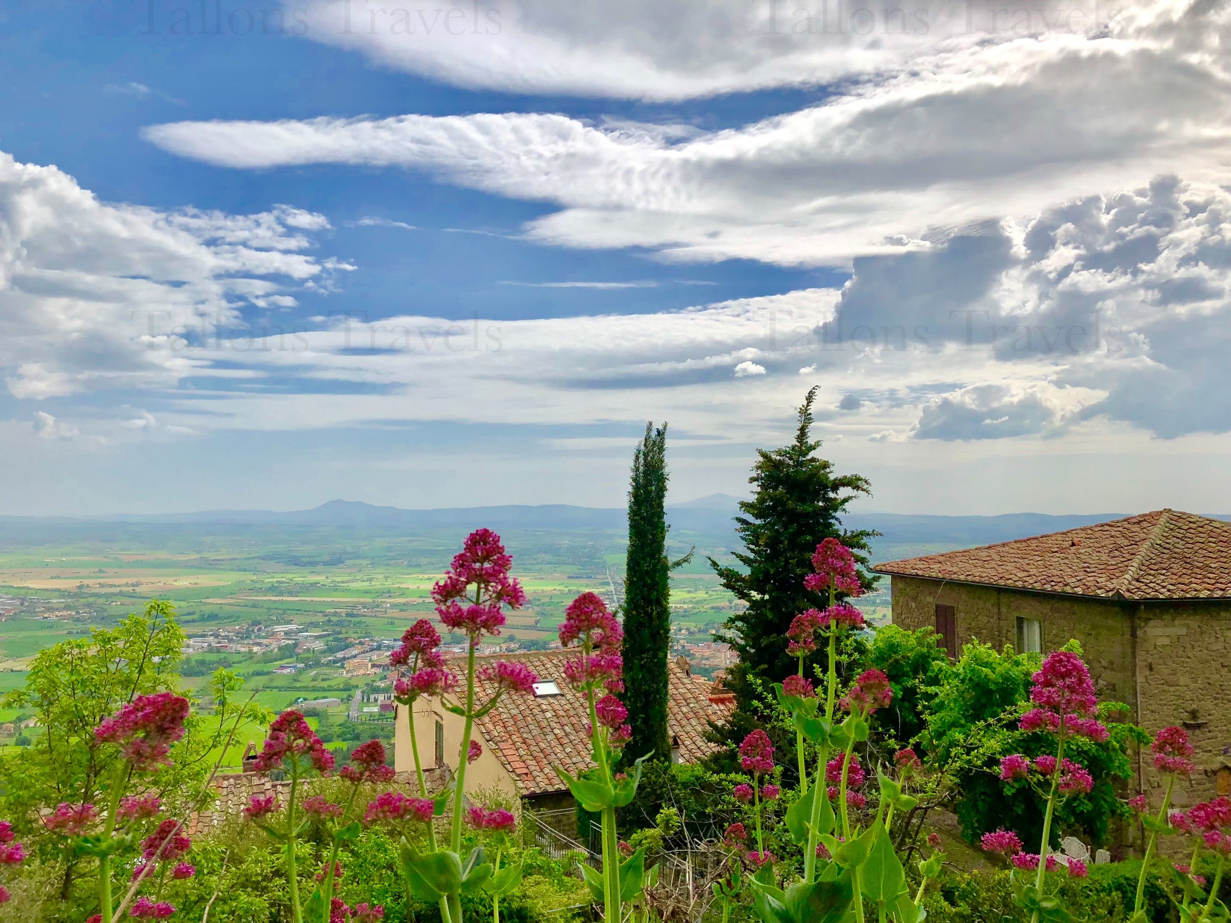 eZy Watermark_24-01-2026_08-09-37-2200PM.jpg