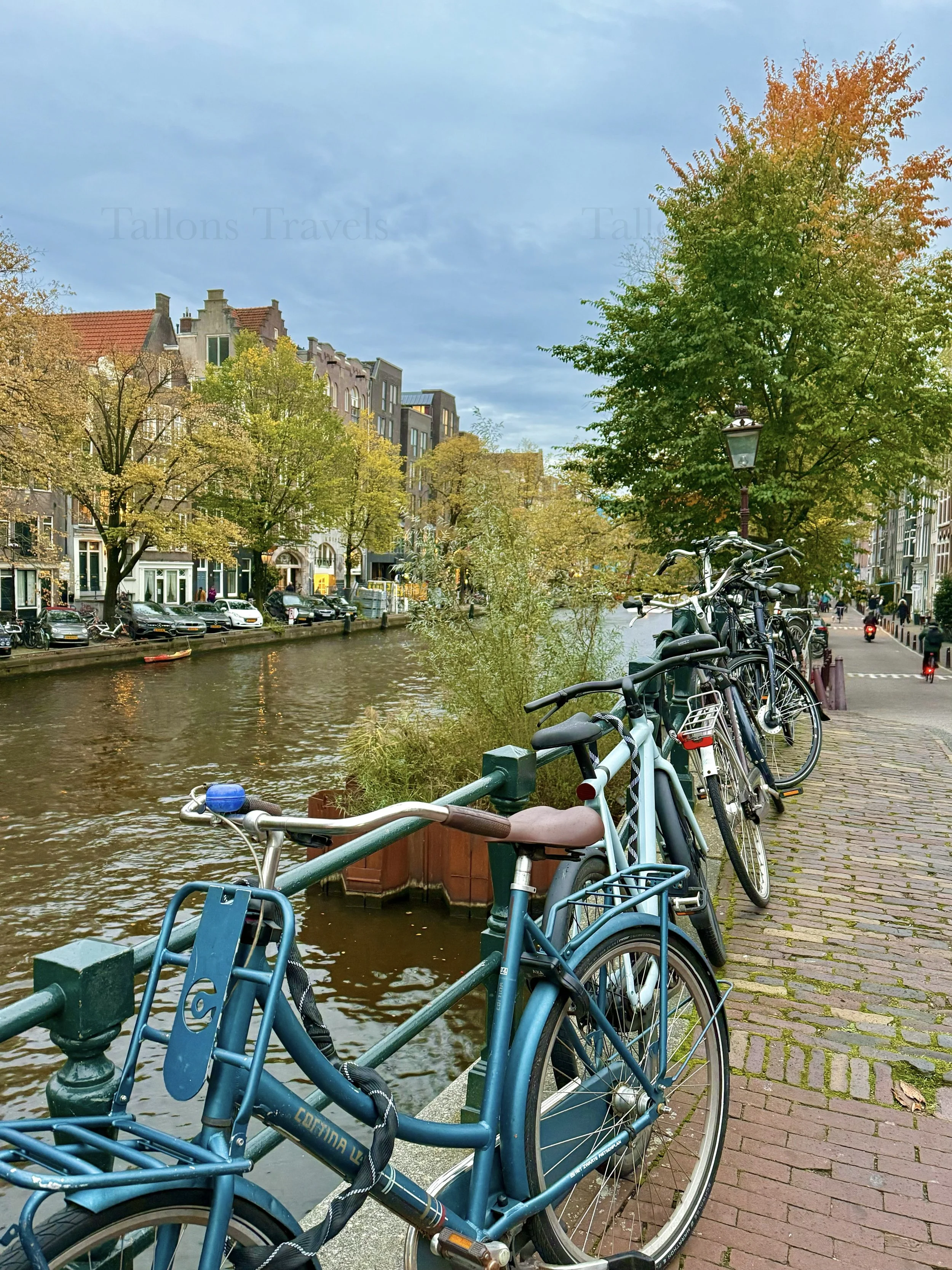 eZy Watermark_23-01-2026_11-38-26-1790AM.jpg