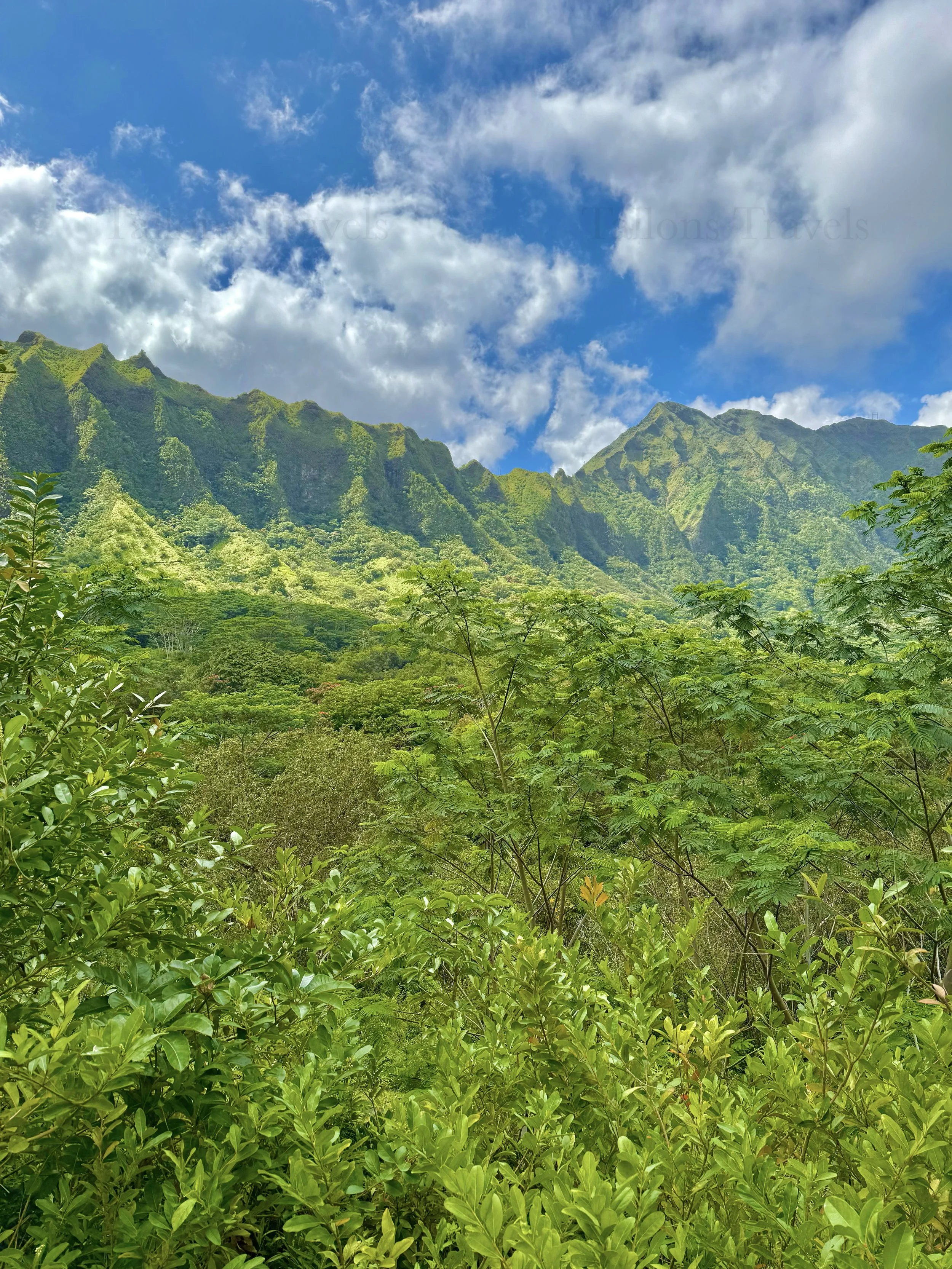 eZy Watermark_23-01-2026_10-19-26-4890PM.jpg