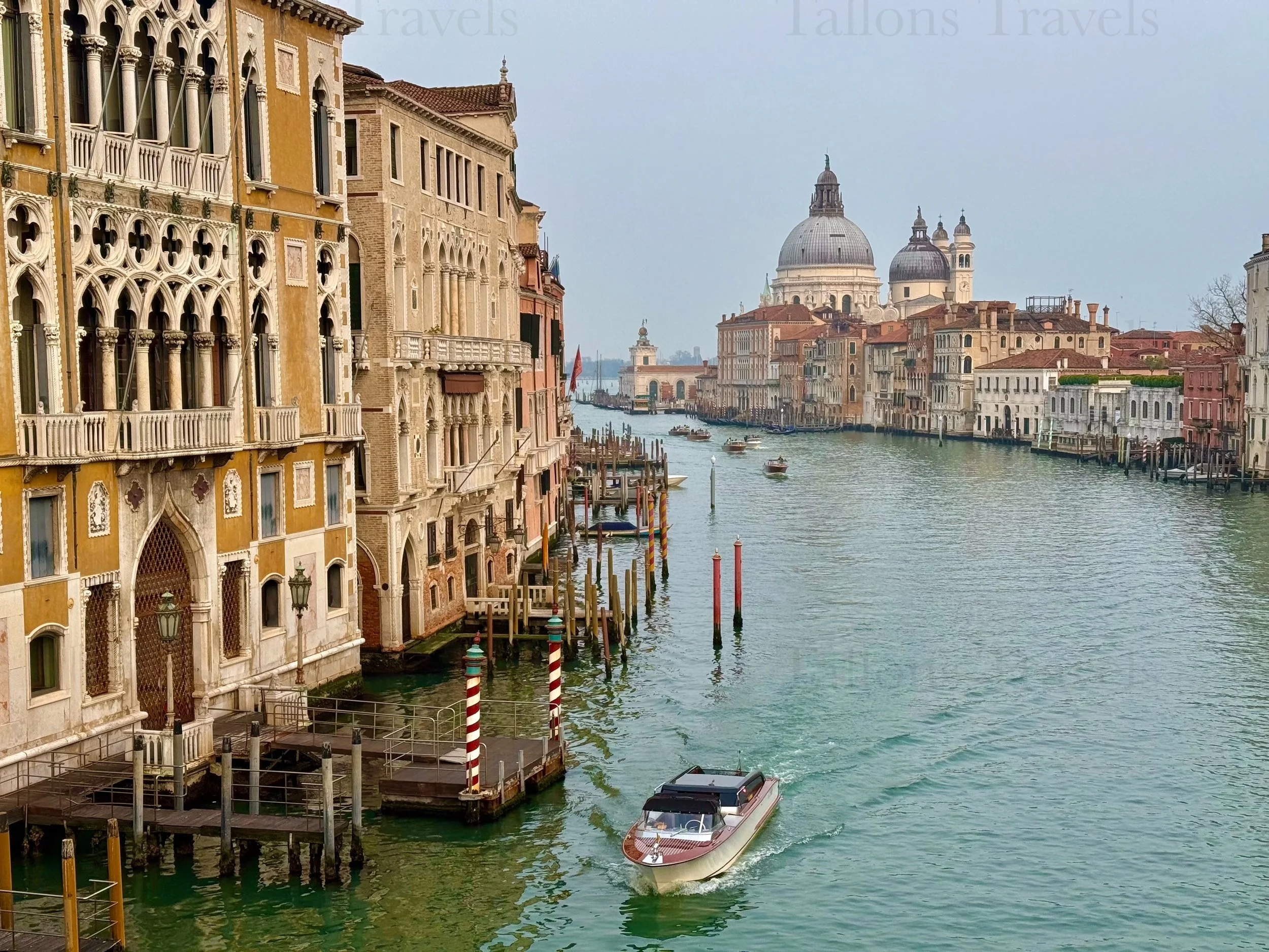 eZy Watermark_04-03-2026_06-25-58-2770PM.jpg