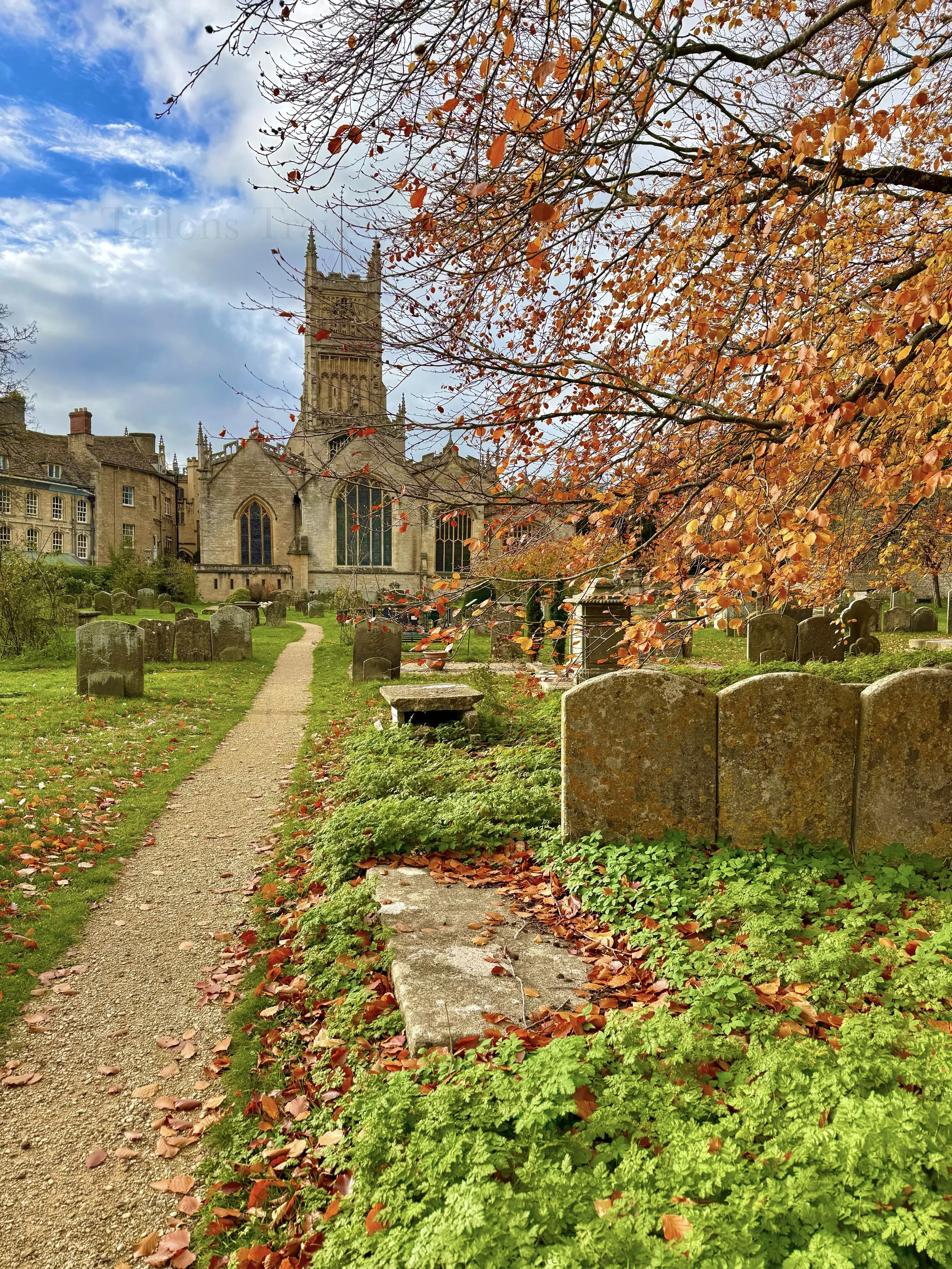 eZy Watermark_23-01-2026_11-26-26-7730AM.jpeg