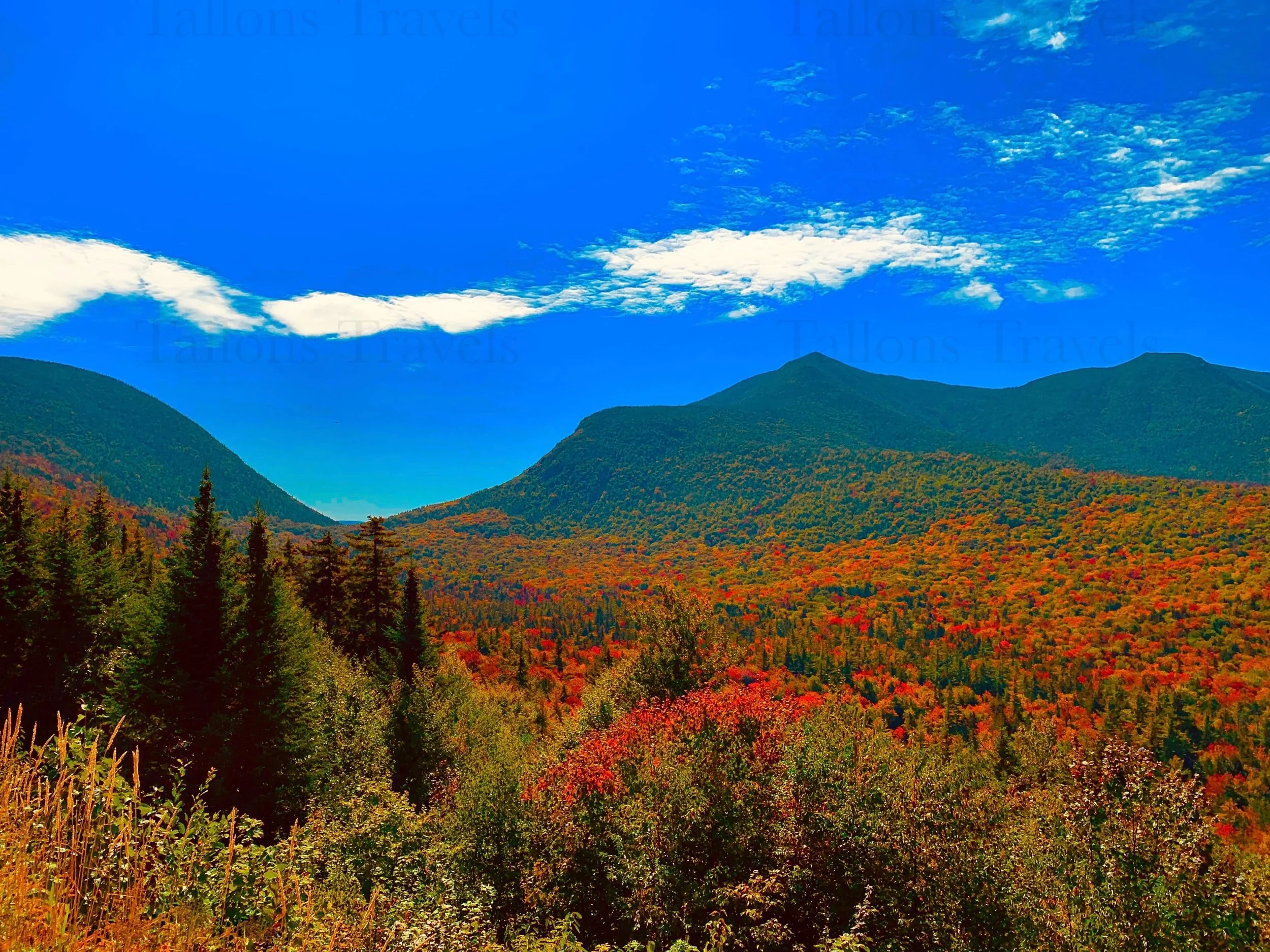 eZy Watermark_27-01-2026_09-59-57-2150PM.jpg