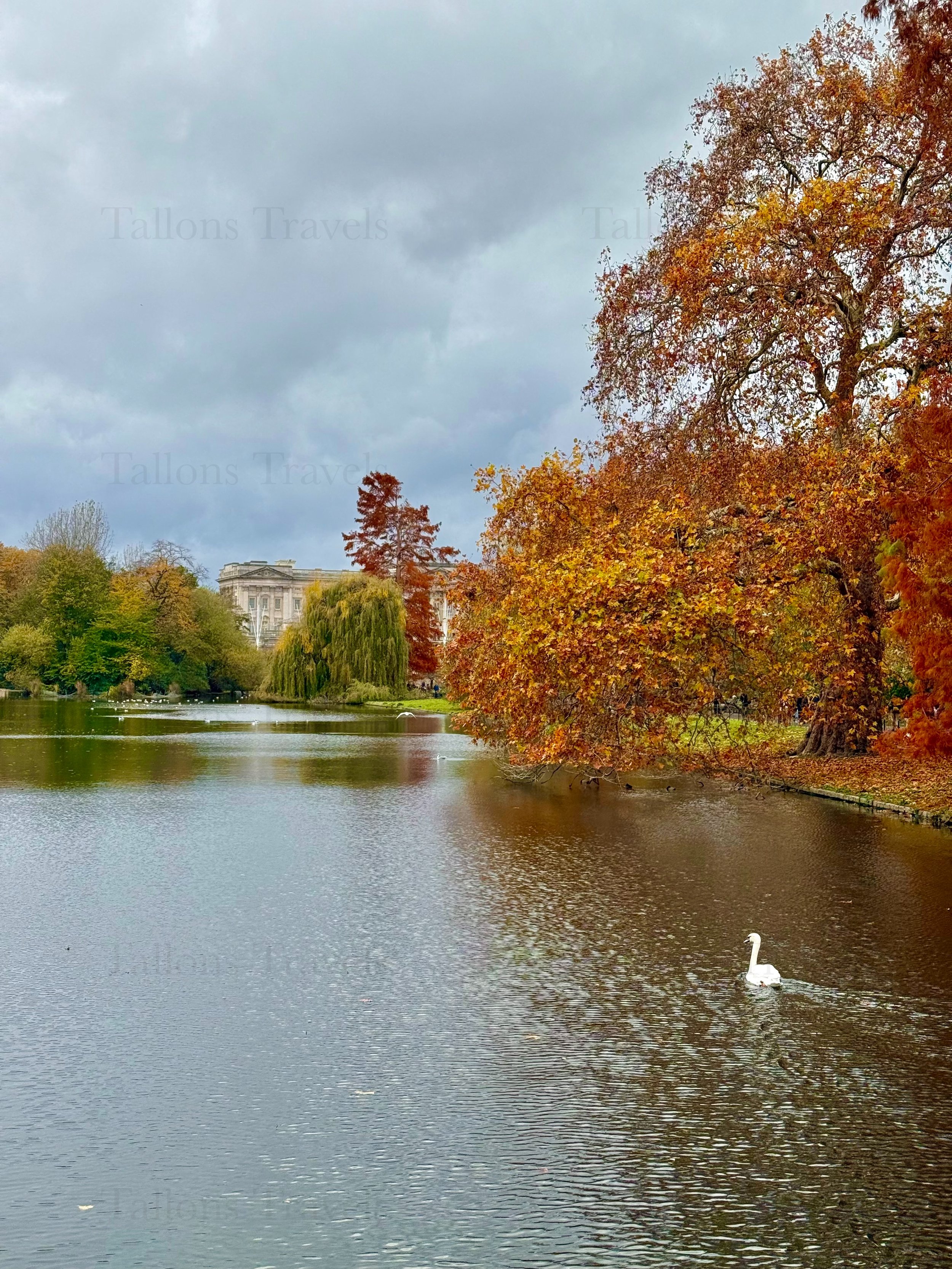 eZy Watermark_23-01-2026_01-43-16-9950PM.jpg