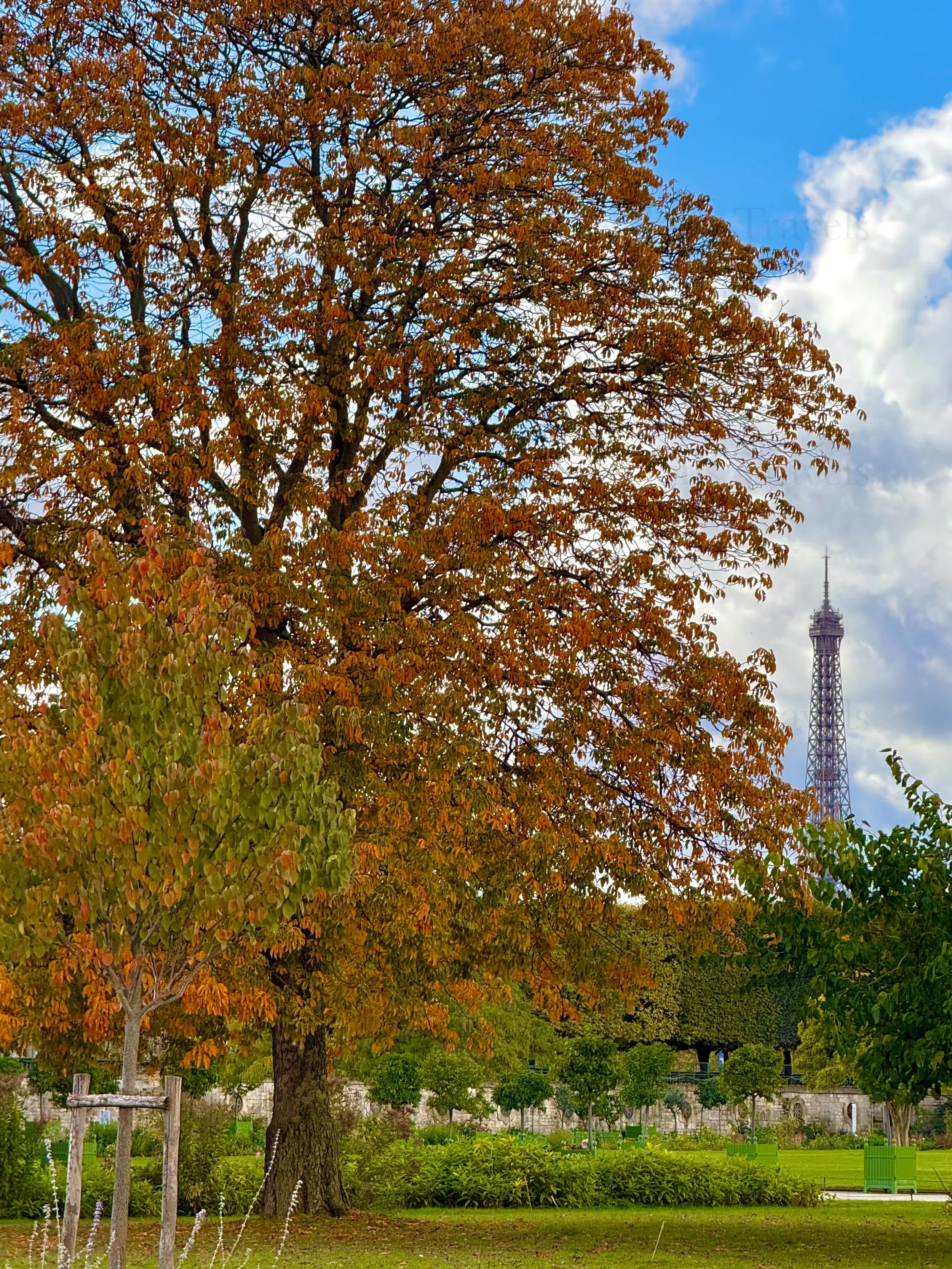 eZy Watermark_23-01-2026_09-40-31-8310PM.jpg