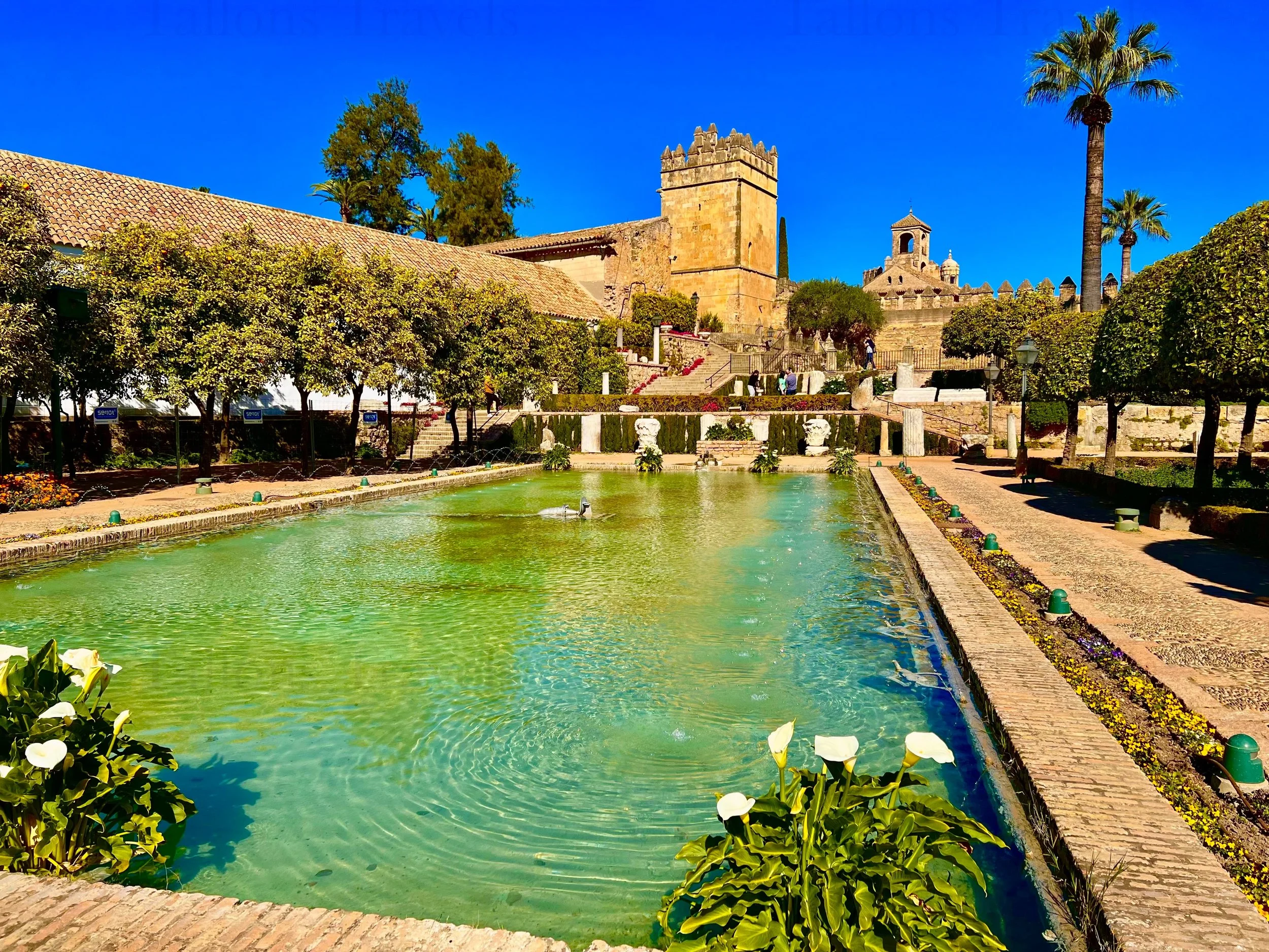 eZy Watermark_27-01-2026_09-21-34-7220PM.jpg