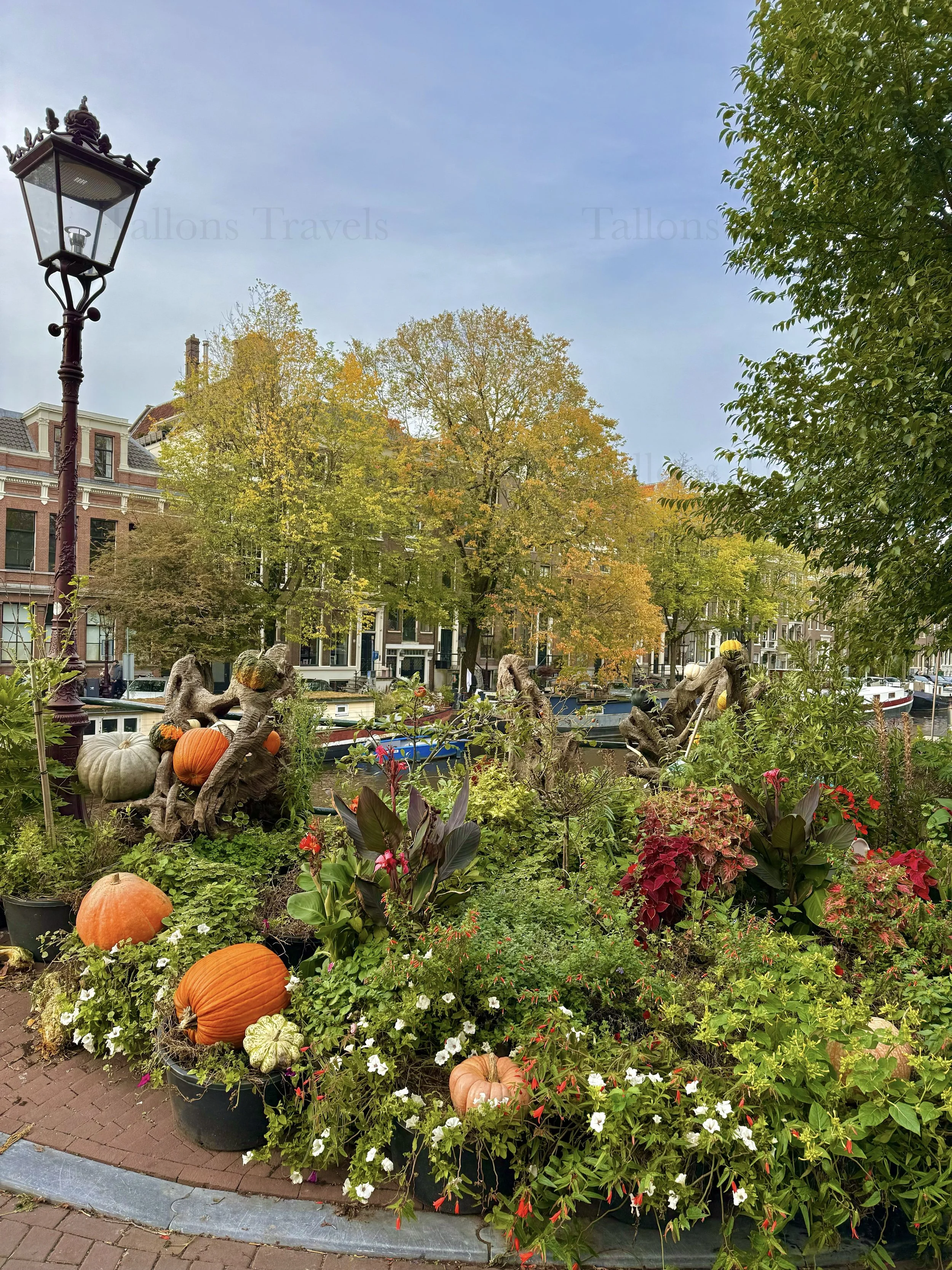 eZy Watermark_23-01-2026_11-38-44-3340AM.jpg