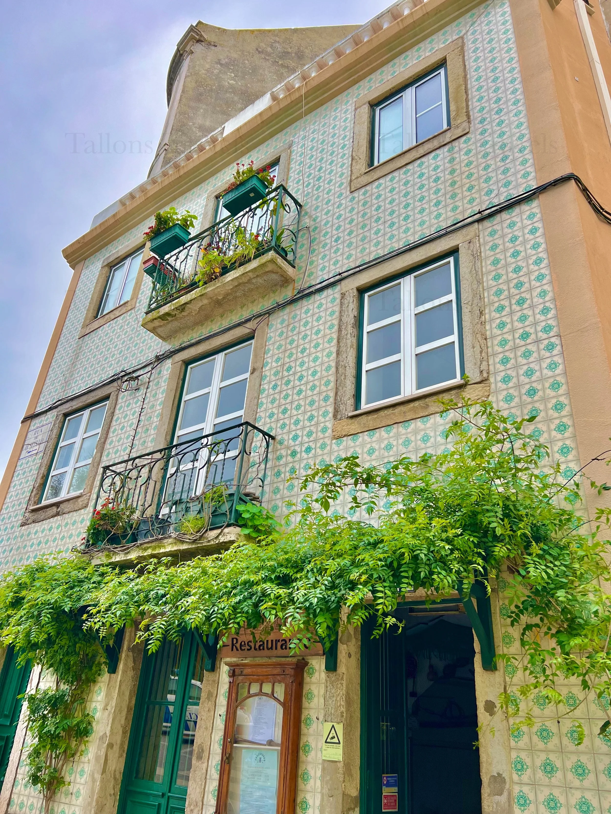 eZy Watermark_23-01-2026_11-03-34-8640PM.jpg