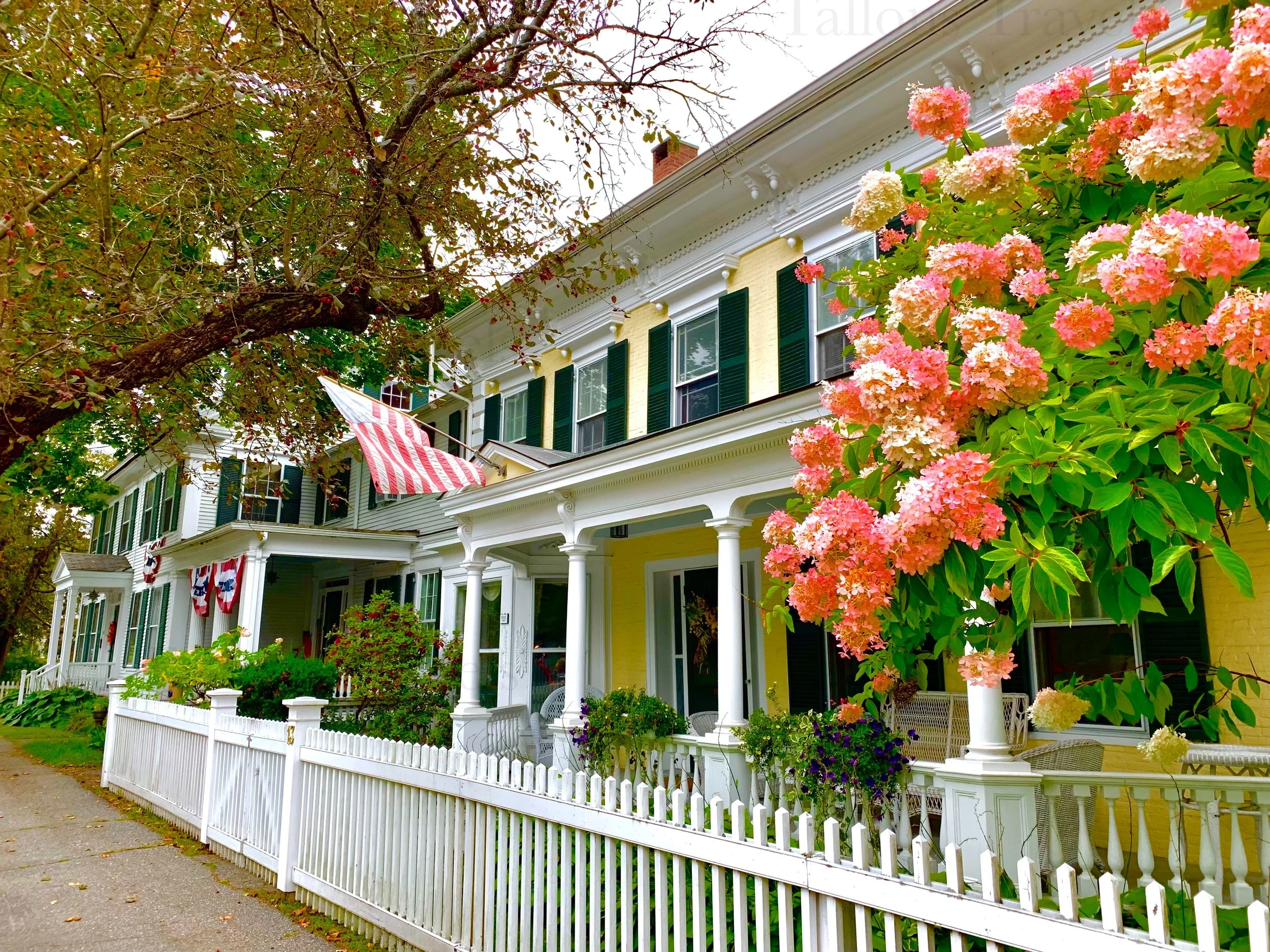 eZy Watermark_27-01-2026_09-59-43-4250PM.jpg