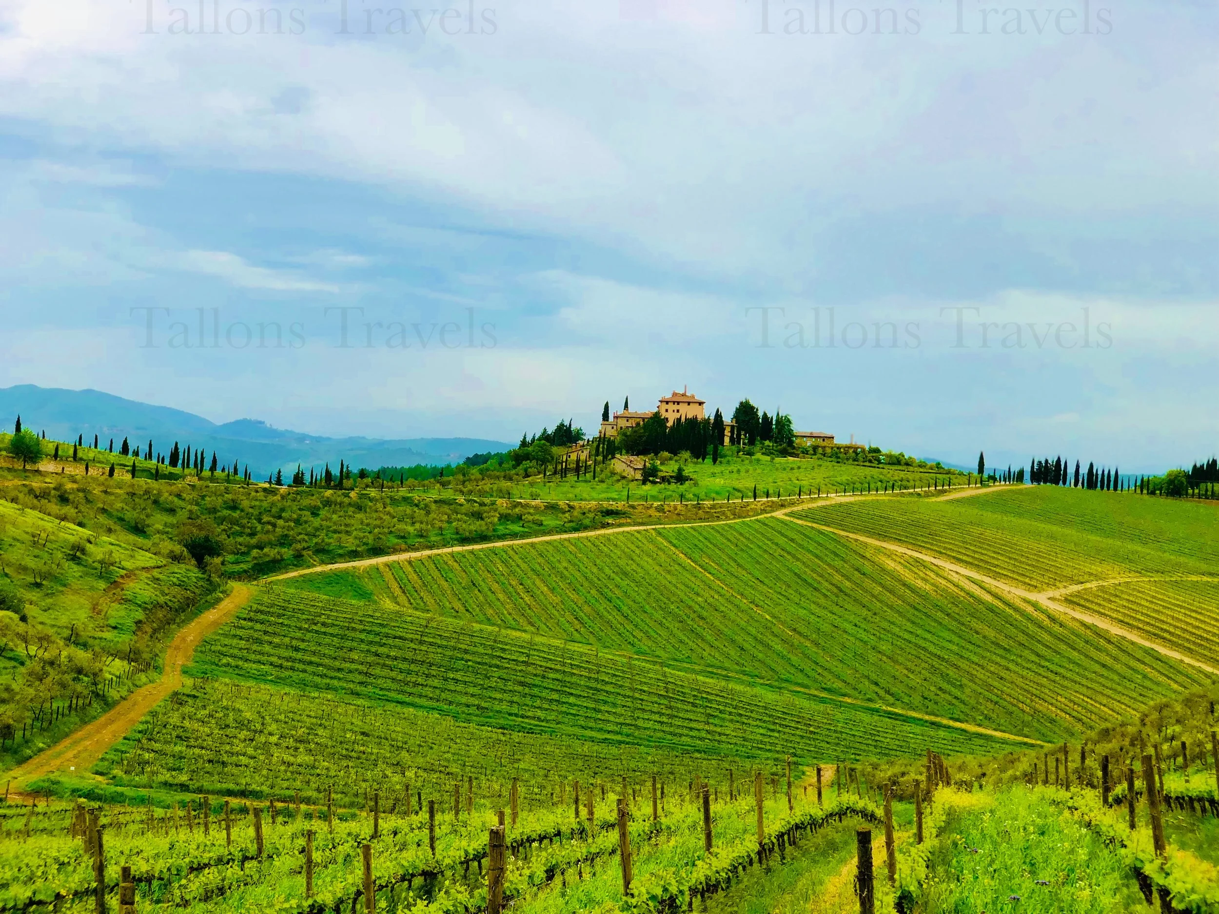 eZy Watermark_24-01-2026_08-10-08-5450PM.jpg