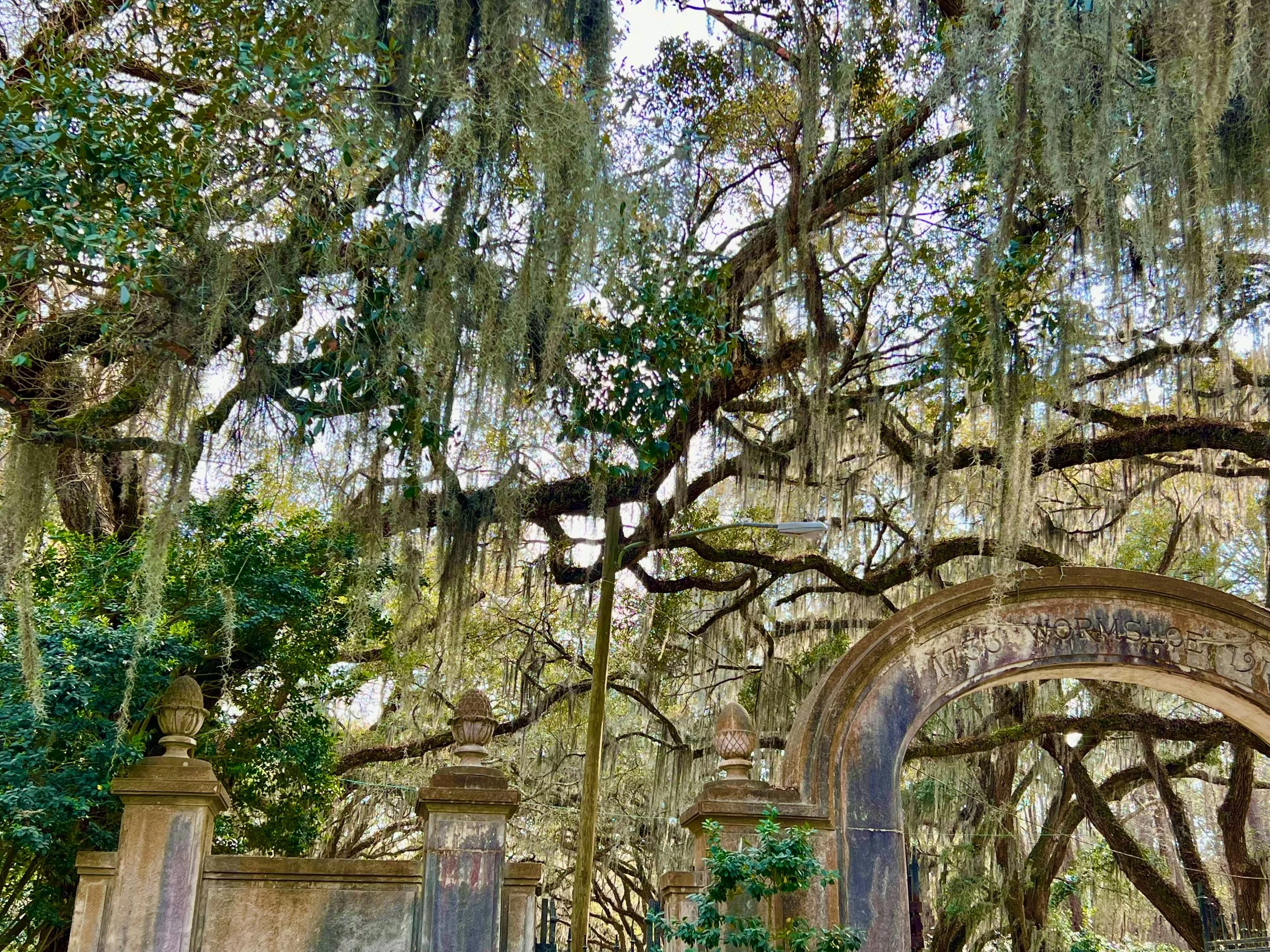 eZy Watermark_27-01-2026_10-08-20-6080PM.jpg