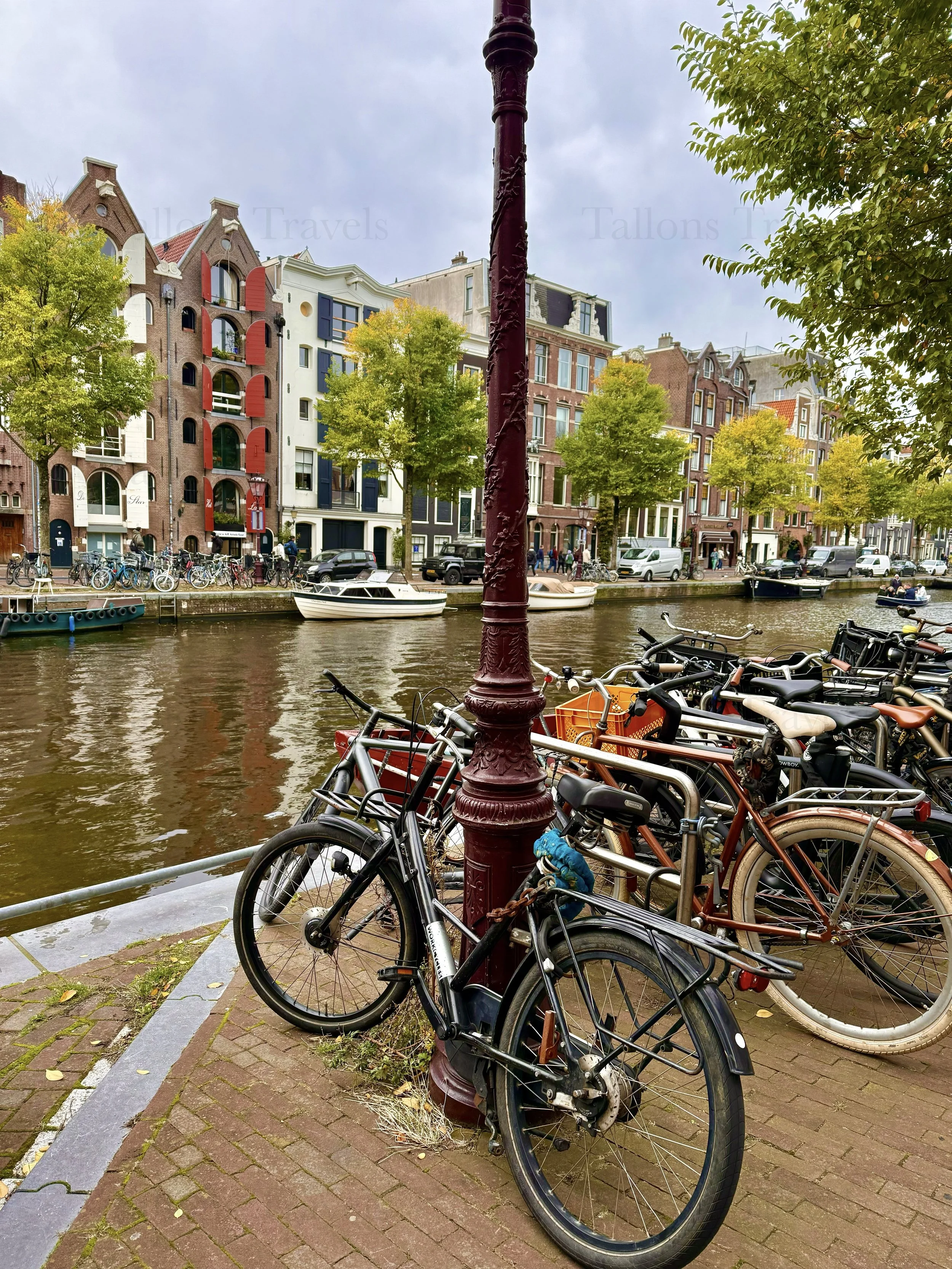 eZy Watermark_23-01-2026_11-37-54-4500AM.jpg