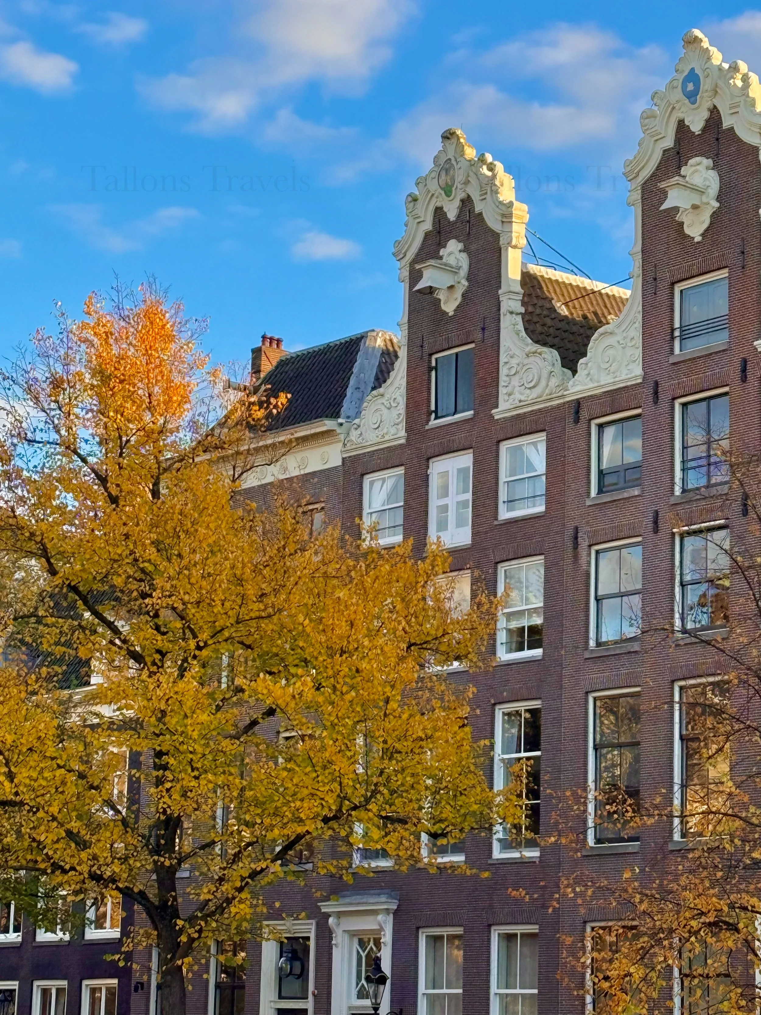 eZy Watermark_23-01-2026_11-37-33-0350AM.jpg