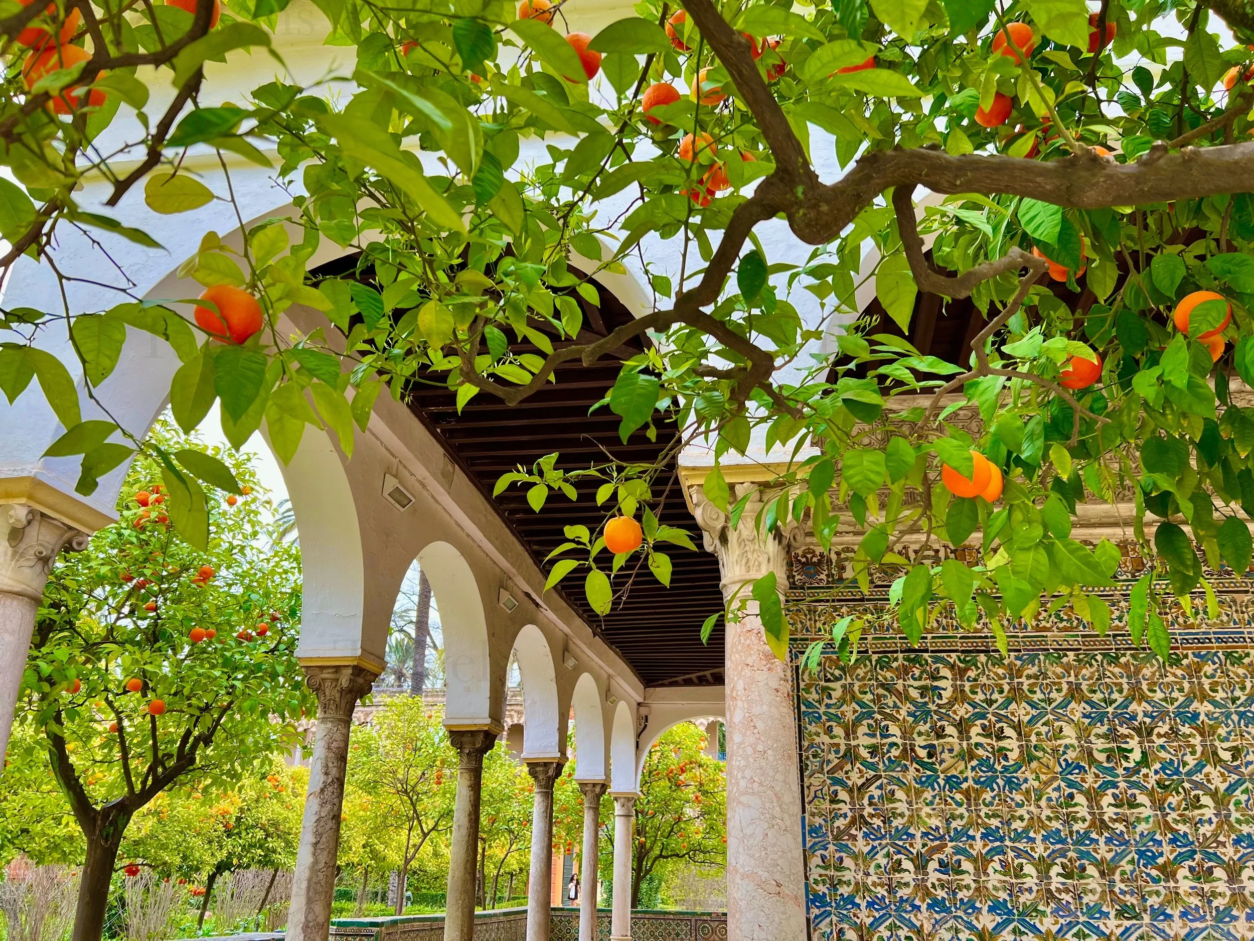 eZy Watermark_27-01-2026_09-22-00-0410PM.jpg