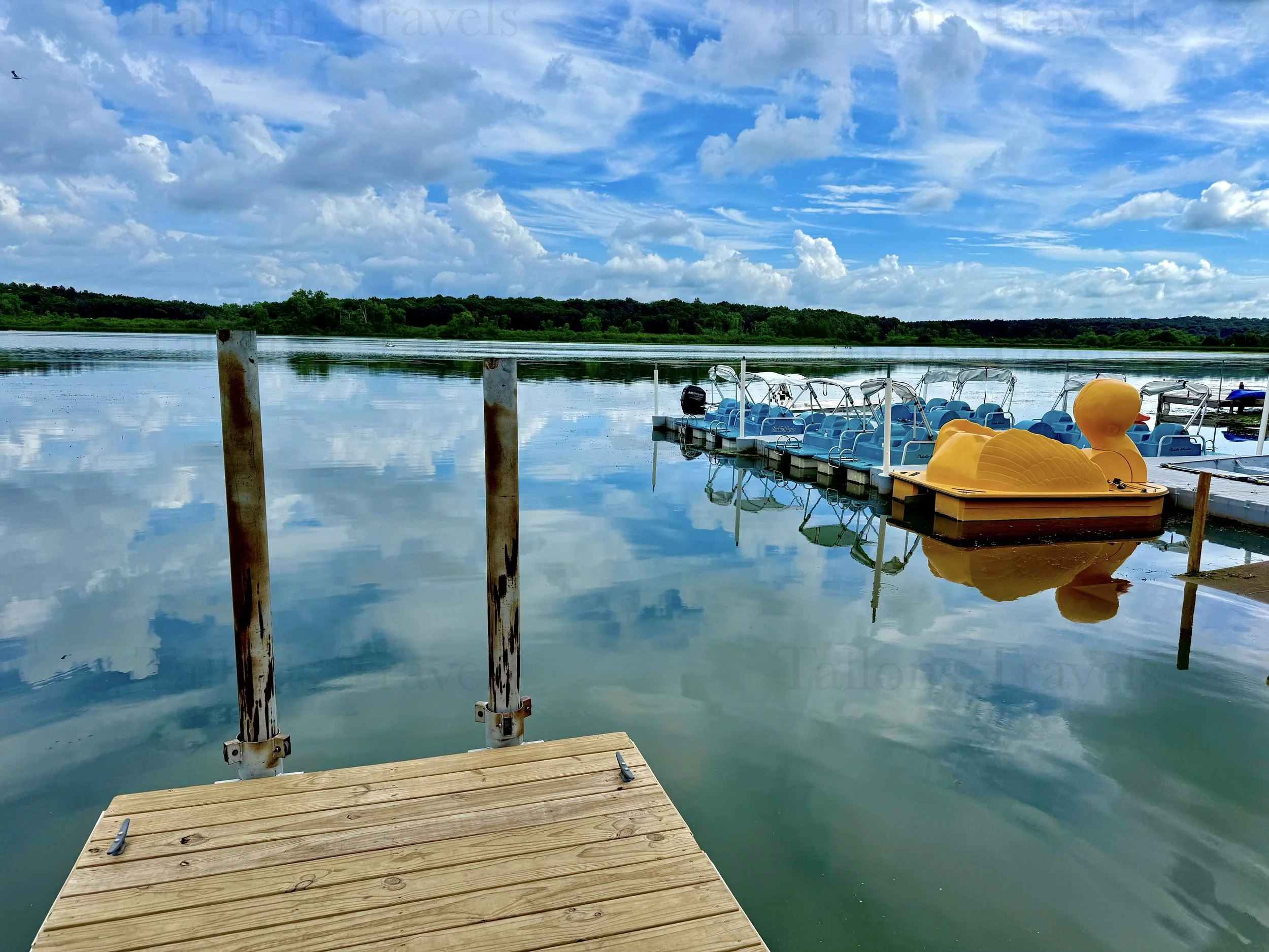 eZy Watermark_23-01-2026_10-38-35-6590PM.jpg