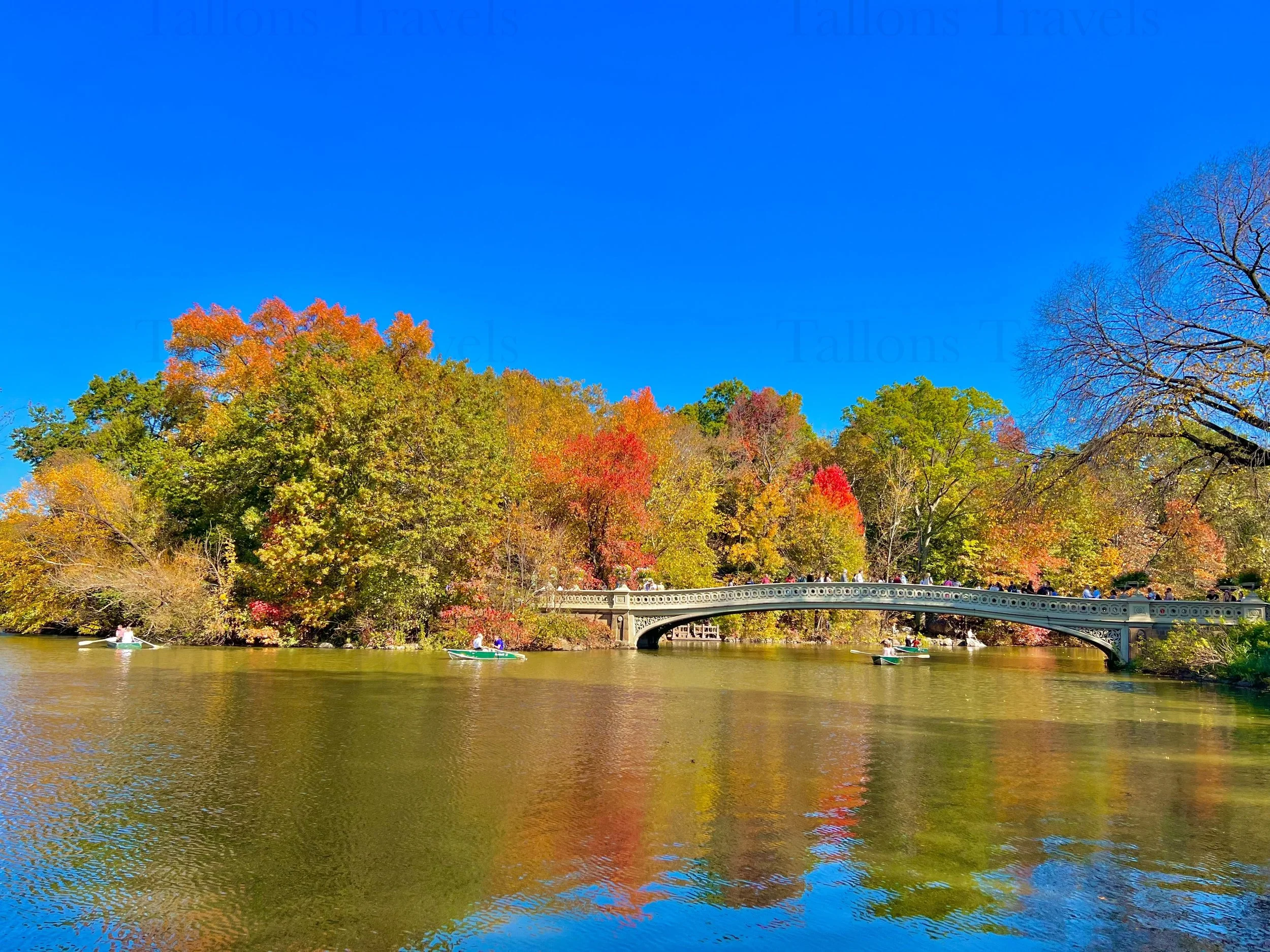 eZy Watermark_23-01-2026_11-20-12-4490PM.jpg