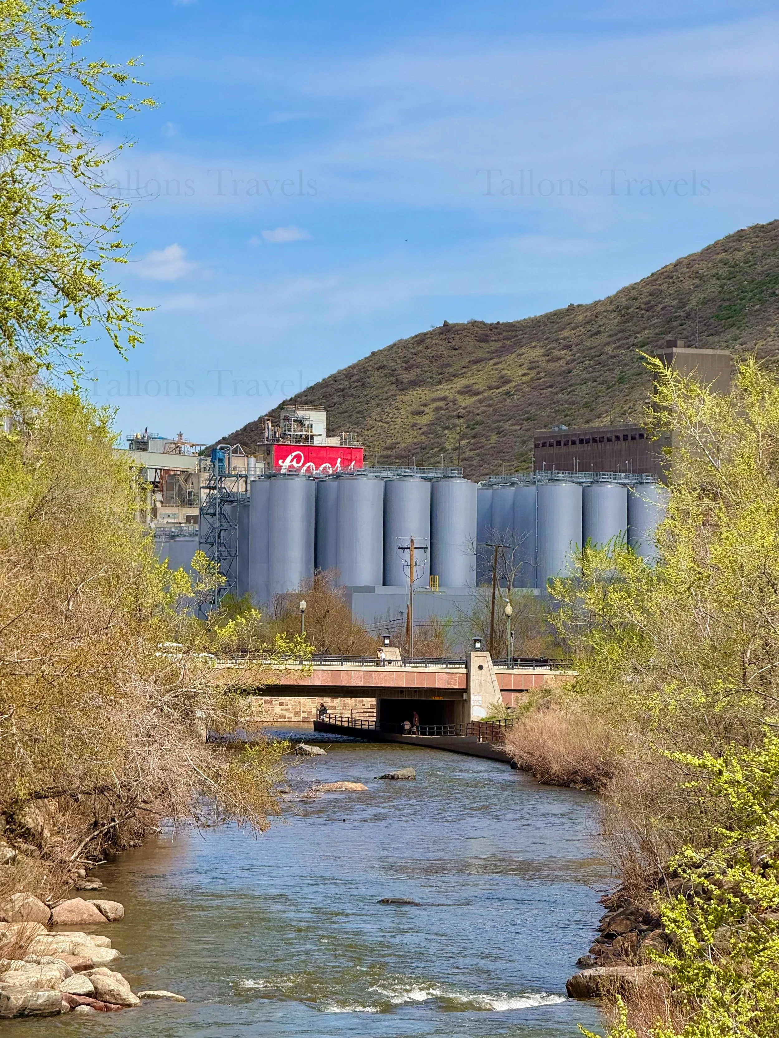 eZy Watermark_27-01-2026_09-39-46-0260PM.jpg