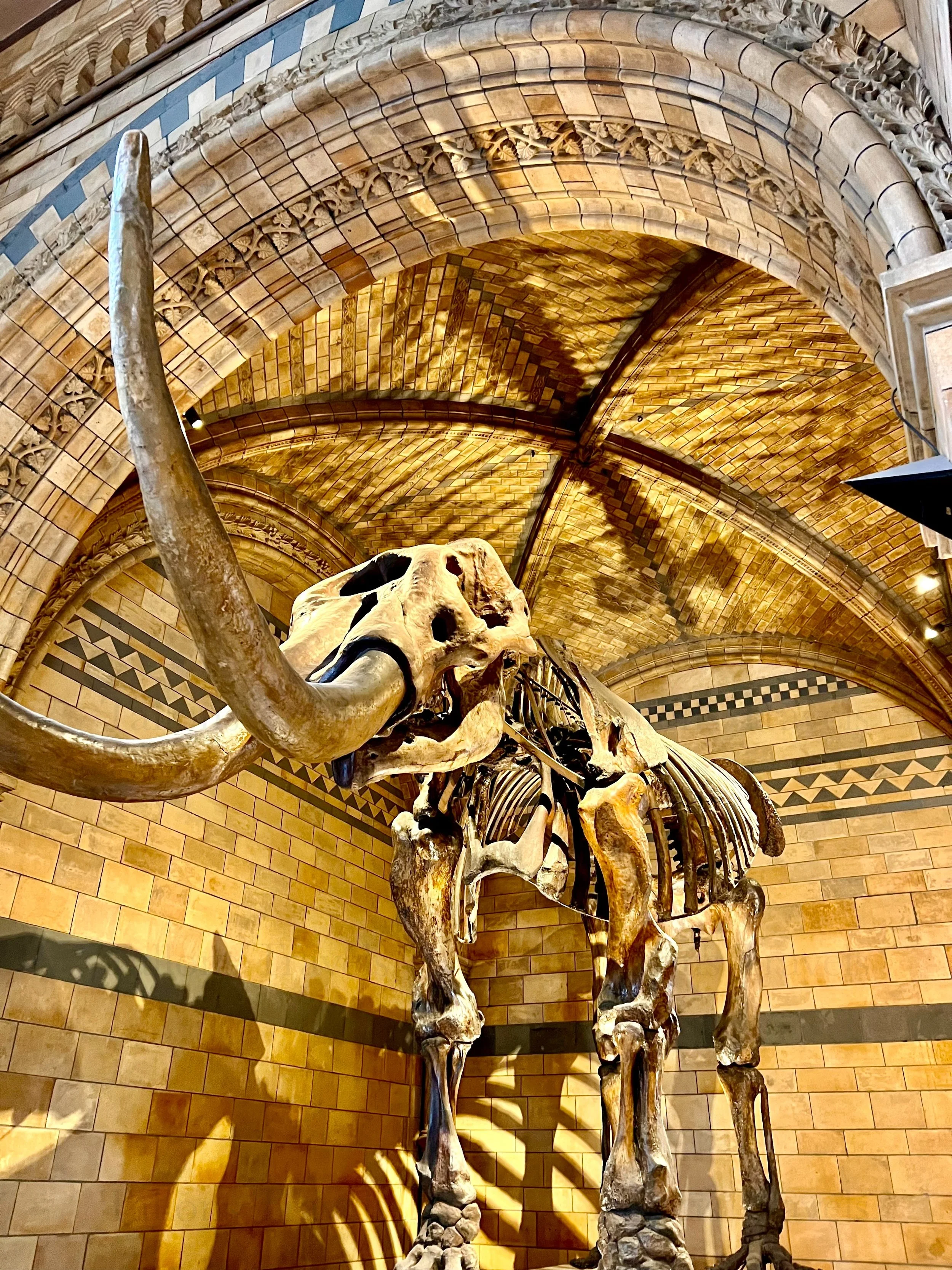 eZy Watermark_23-01-2026_01-42-51-0160PM.jpg