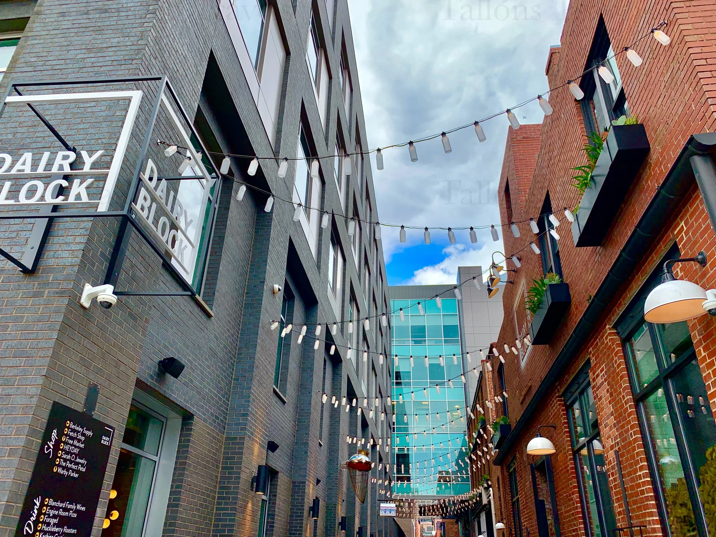 eZy Watermark_27-01-2026_09-39-18-9460PM.jpg