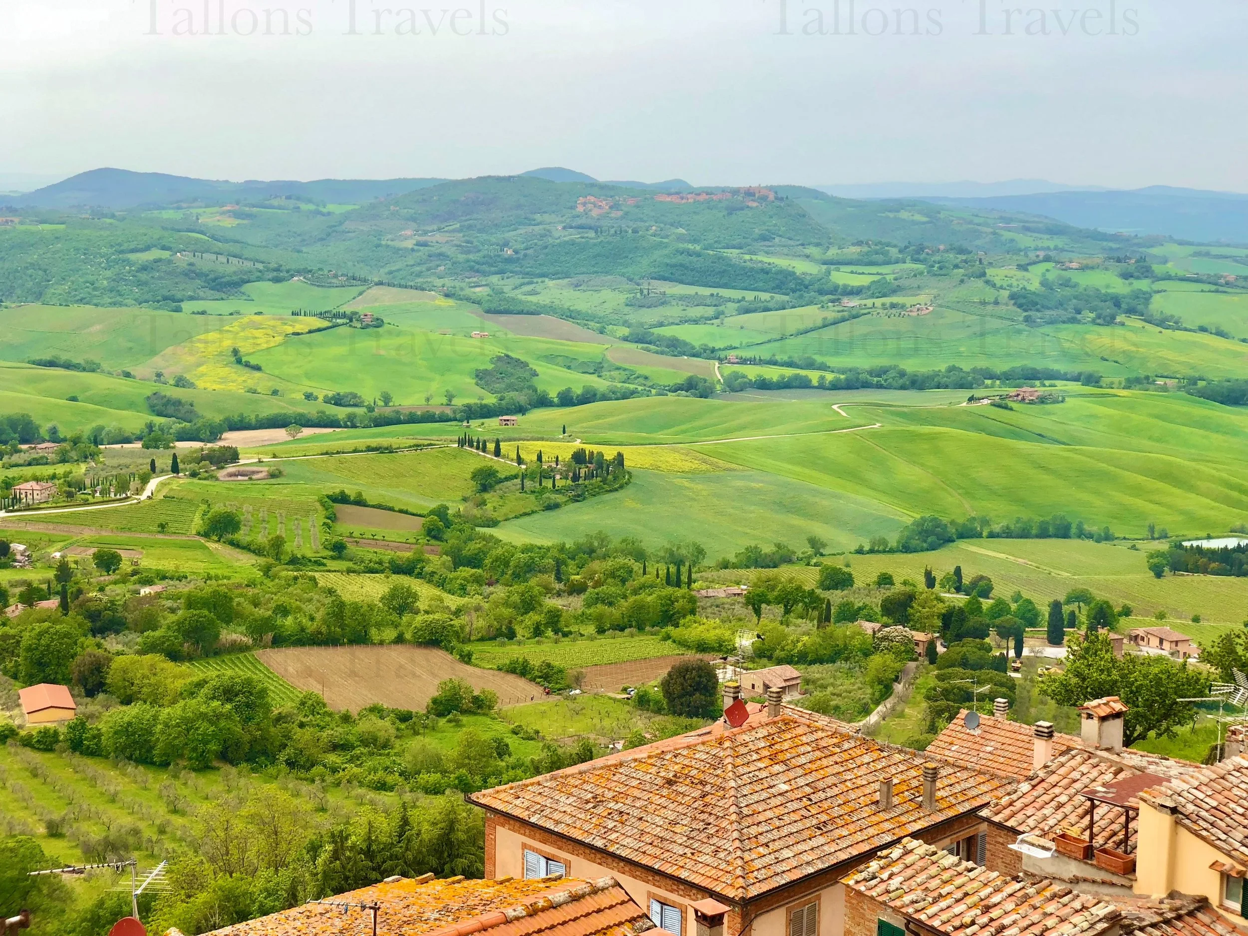 eZy Watermark_24-01-2026_08-10-02-3330PM.jpg