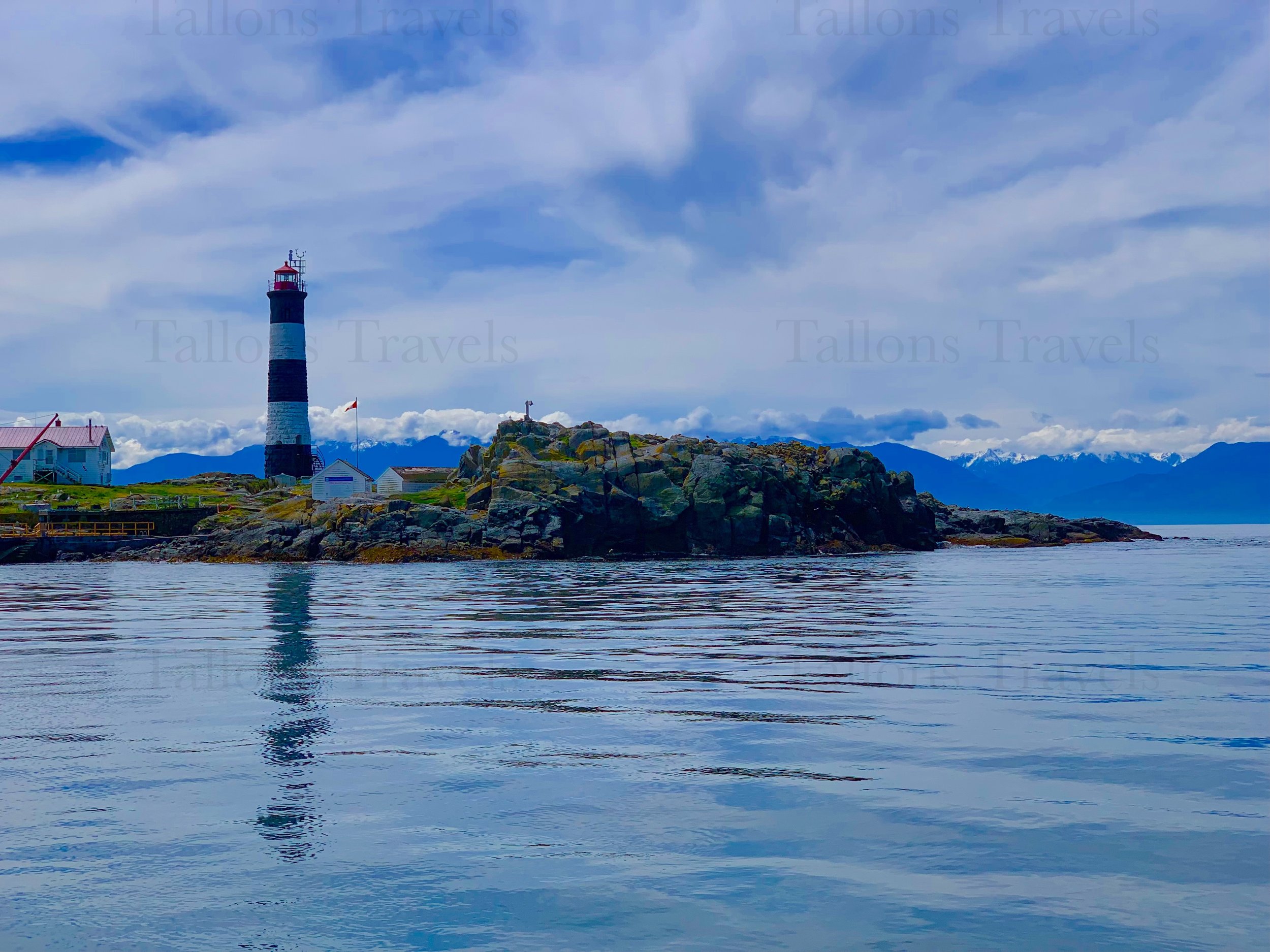 eZy Watermark_27-01-2026_09-11-00-5740PM.jpg