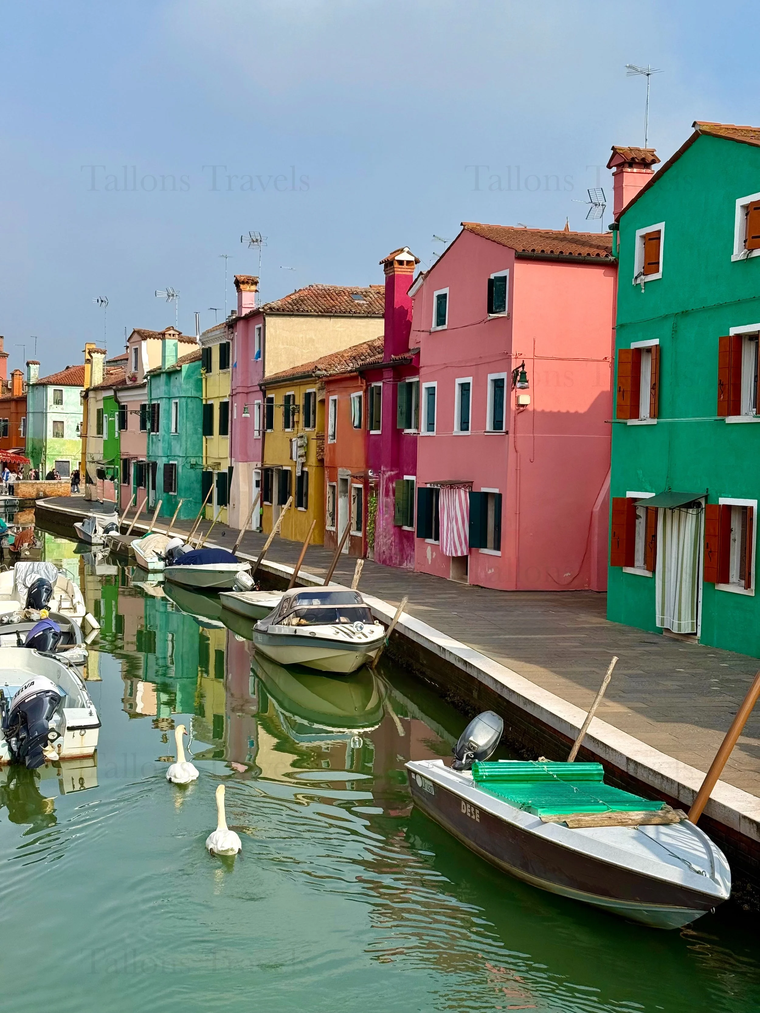 eZy Watermark_04-03-2026_06-25-04-3980PM.jpg