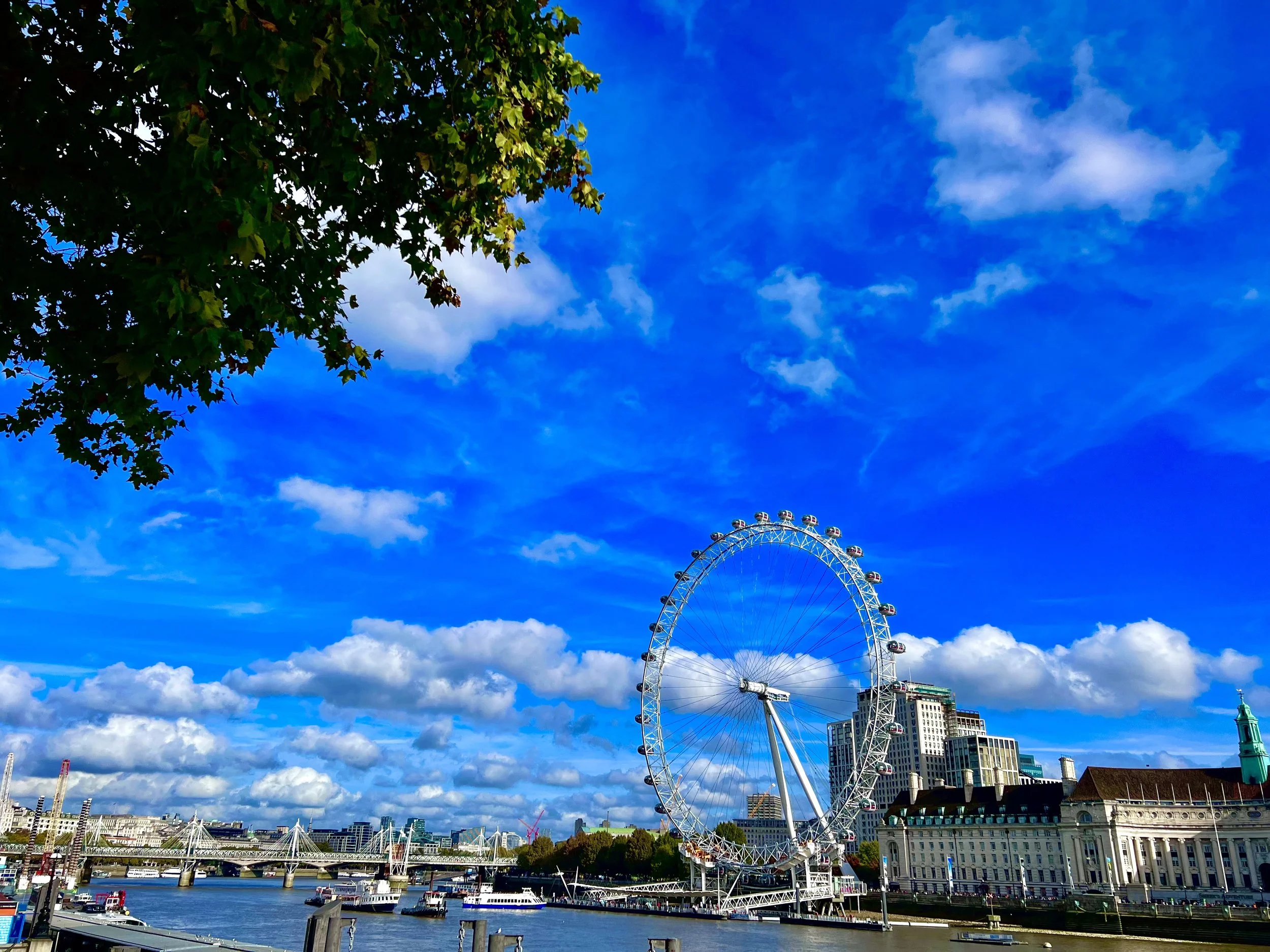 View of the London Eye Ferris wheel on the River Thames.