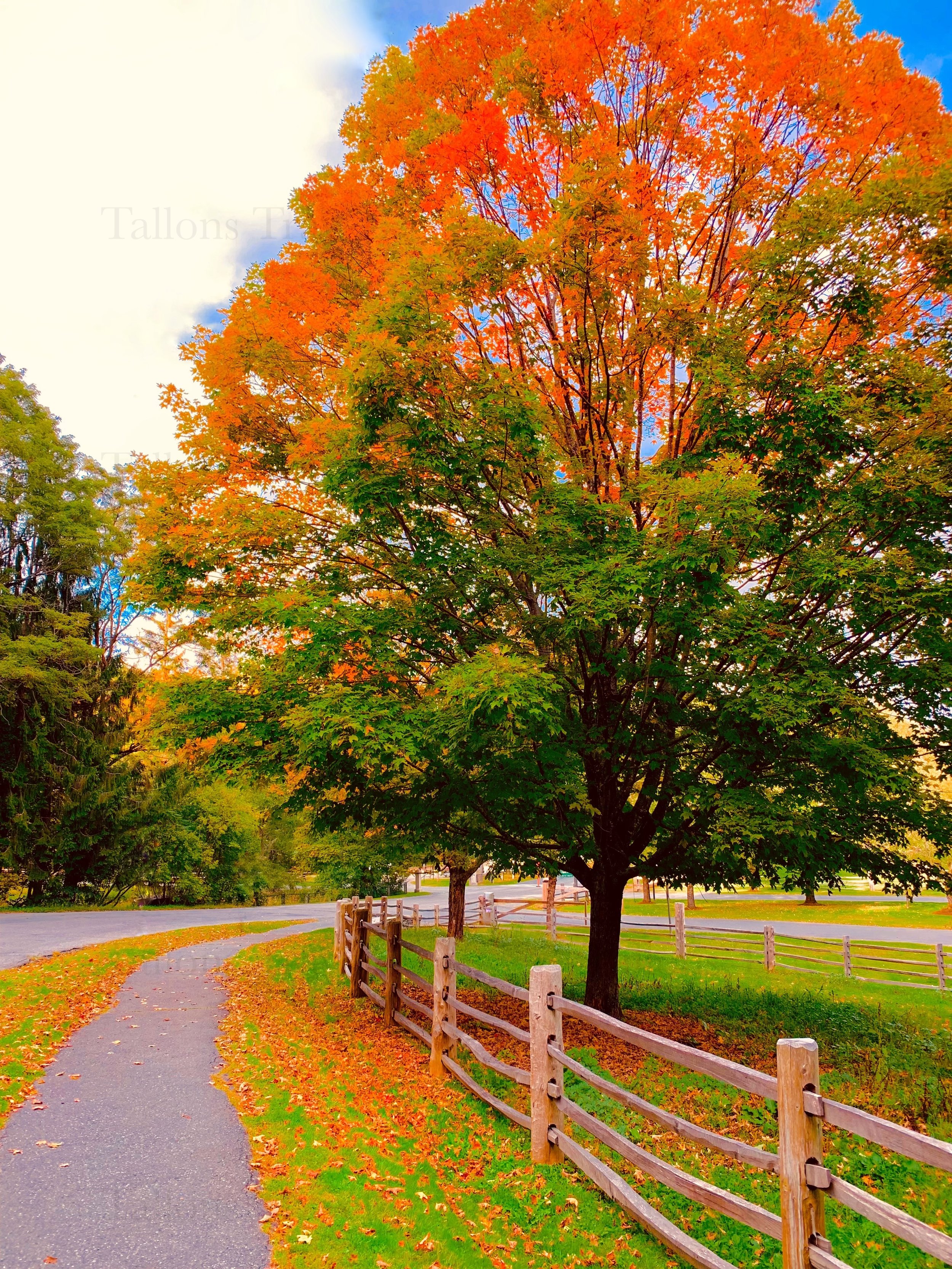 eZy Watermark_27-01-2026_09-59-35-8690PM.jpg