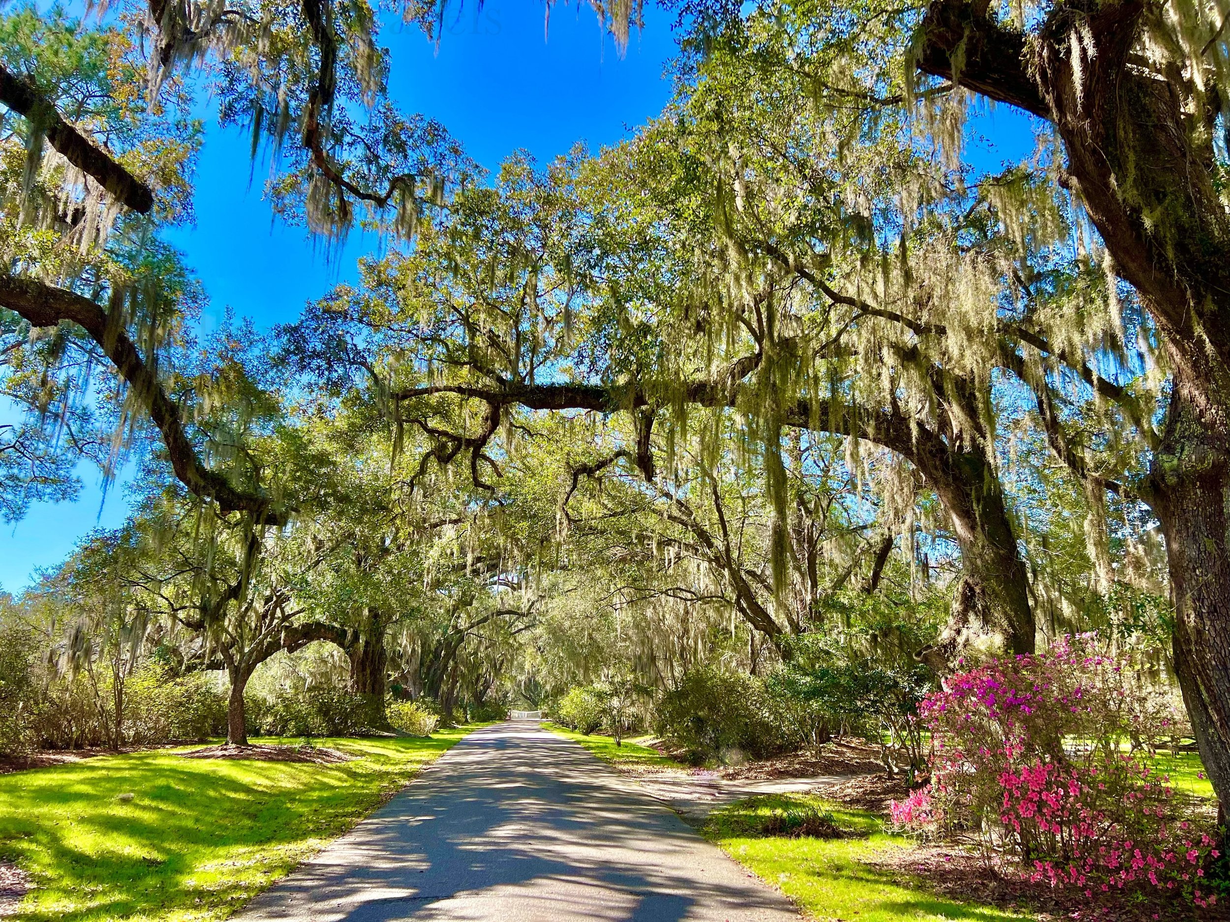 eZy Watermark_25-01-2026_08-24-22-3070PM.jpg