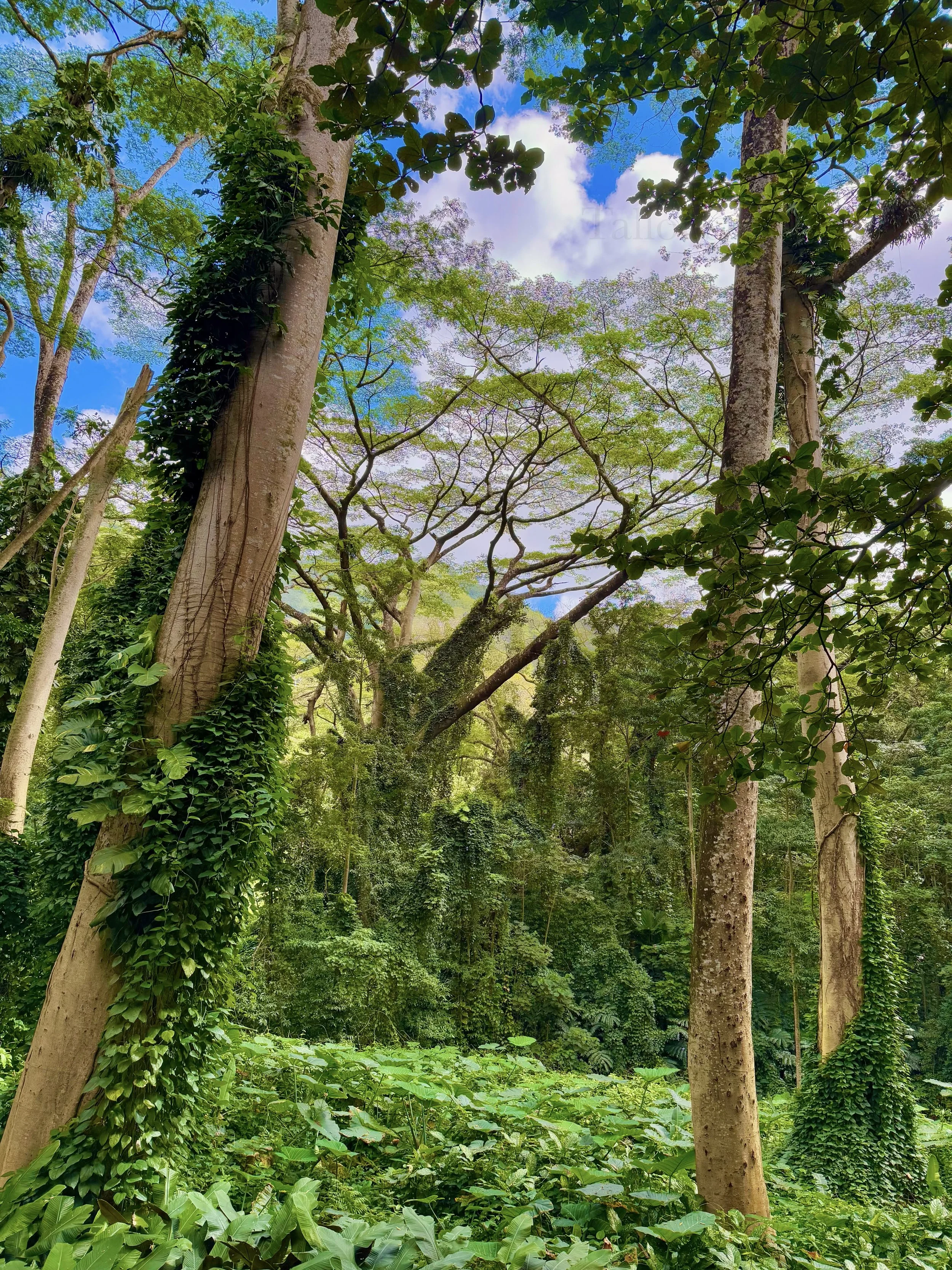 eZy Watermark_23-01-2026_10-20-24-1650PM.jpg