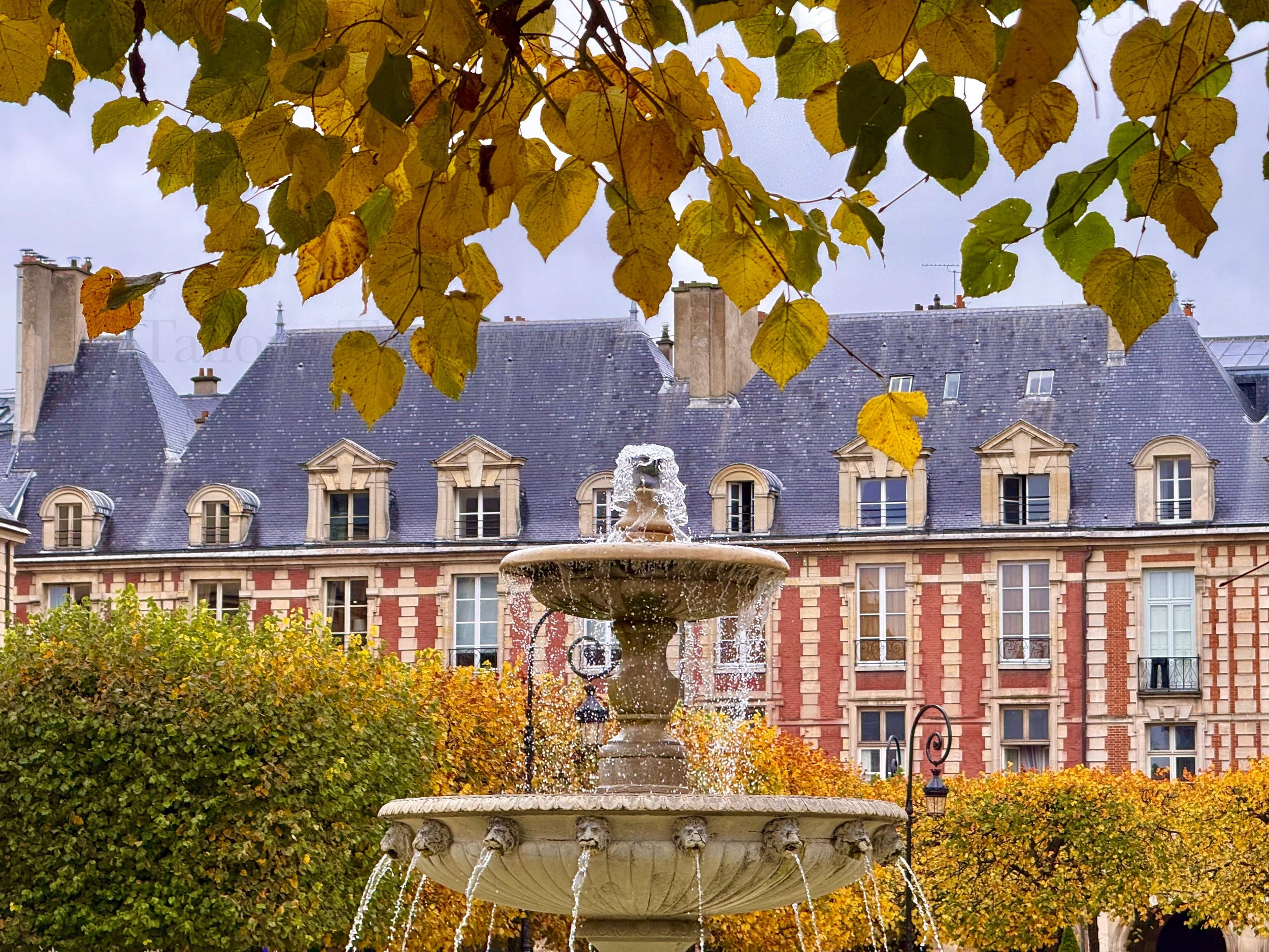 eZy Watermark_23-01-2026_09-42-23-6190PM.jpg