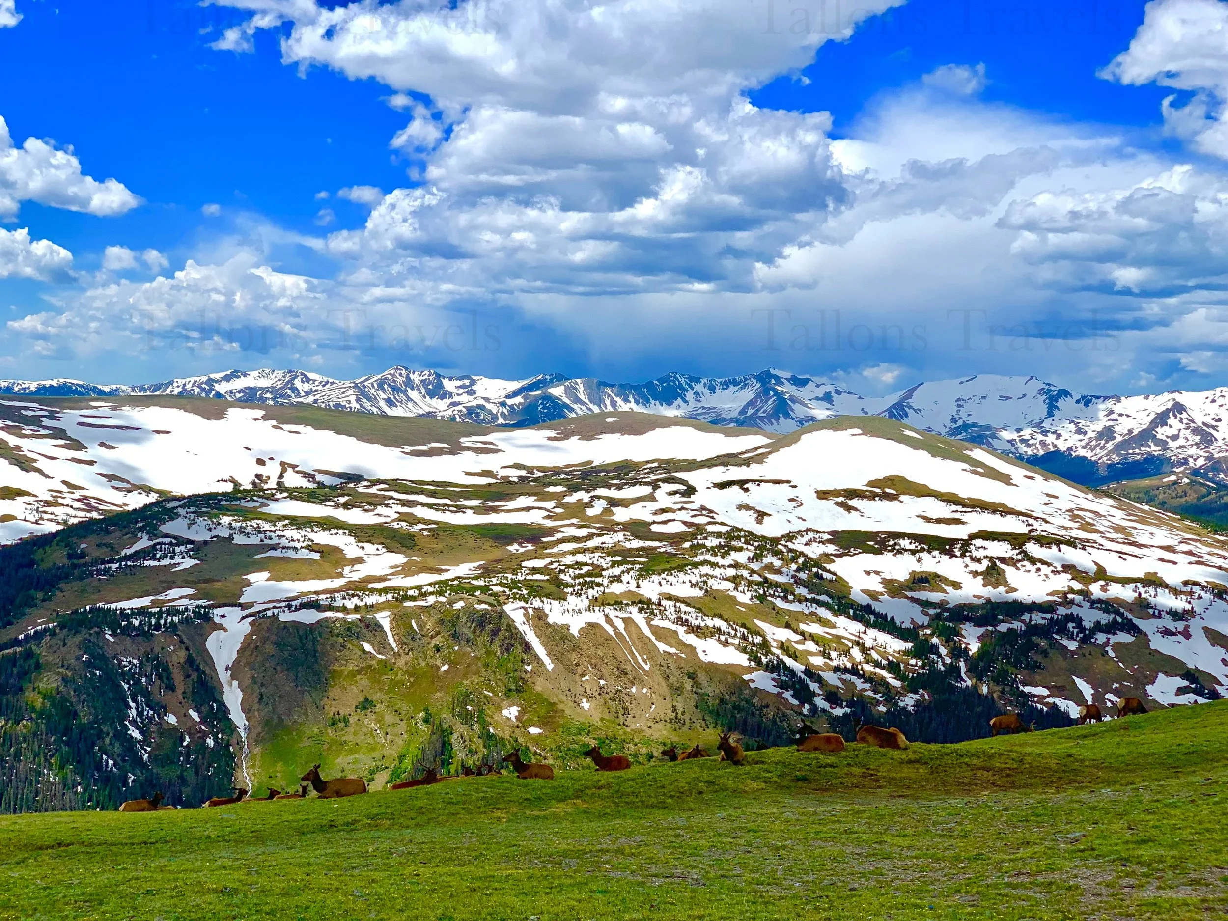 eZy Watermark_27-01-2026_09-39-37-6780PM.jpg