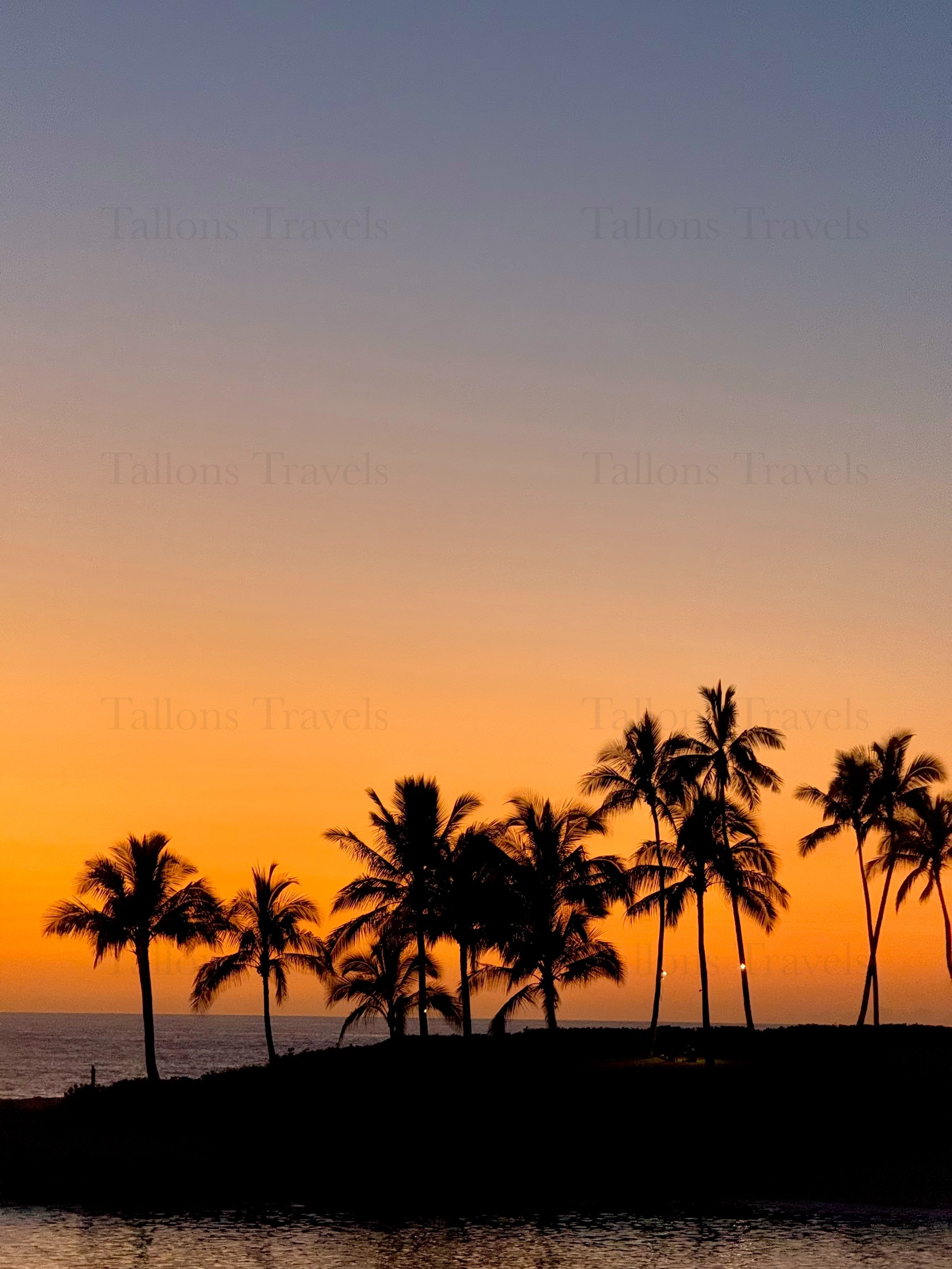 eZy Watermark_23-01-2026_10-21-05-5880PM.jpg