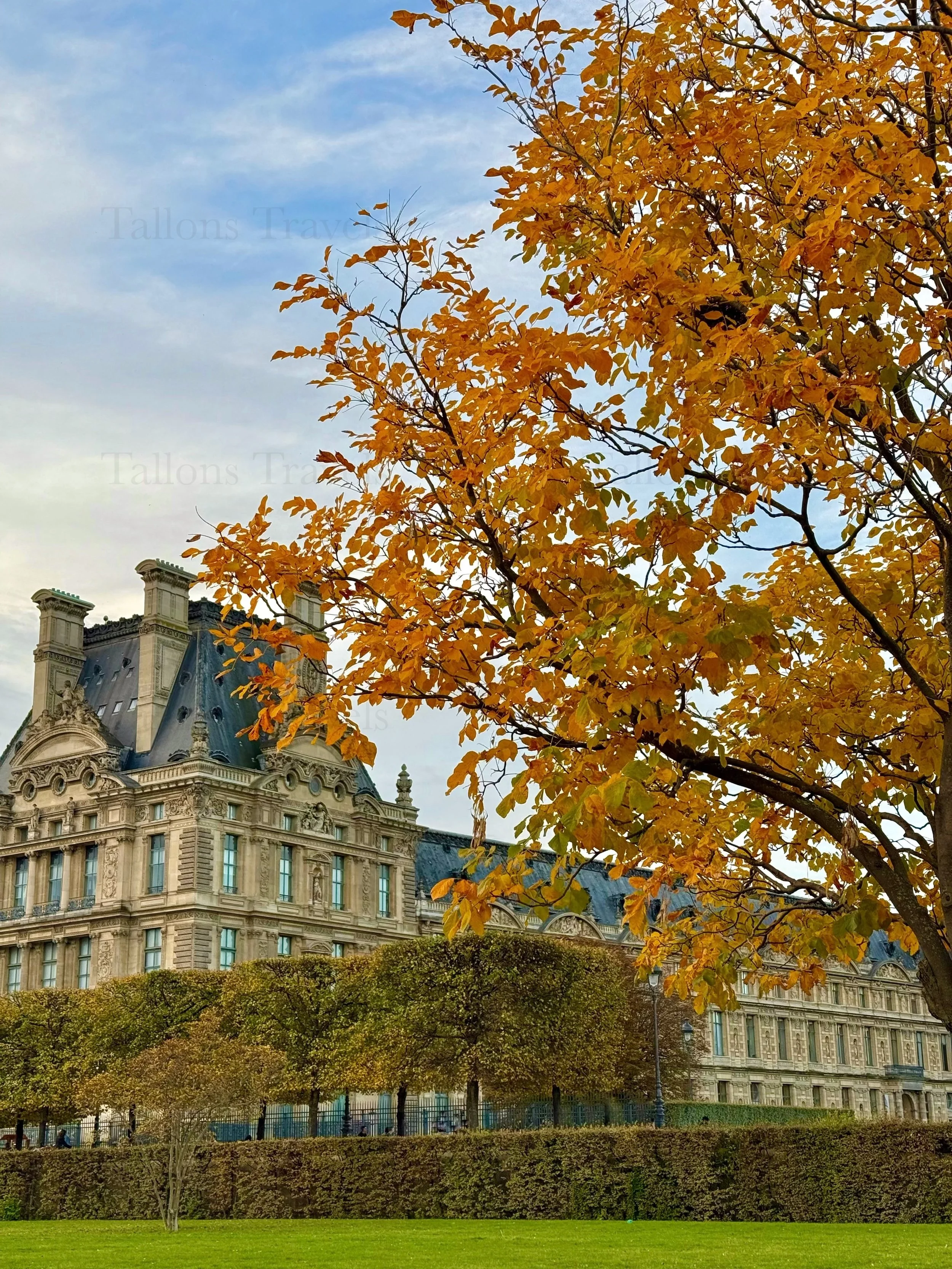 eZy Watermark_23-01-2026_09-42-01-0540PM.jpg