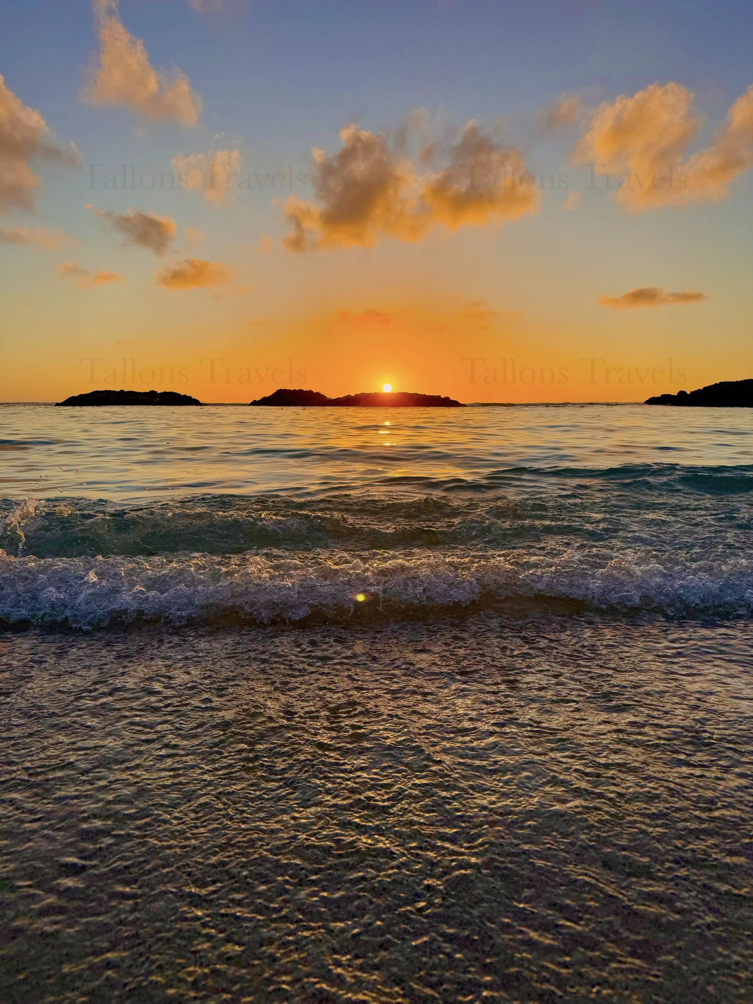 eZy Watermark_23-01-2026_10-20-09-7560PM.jpg