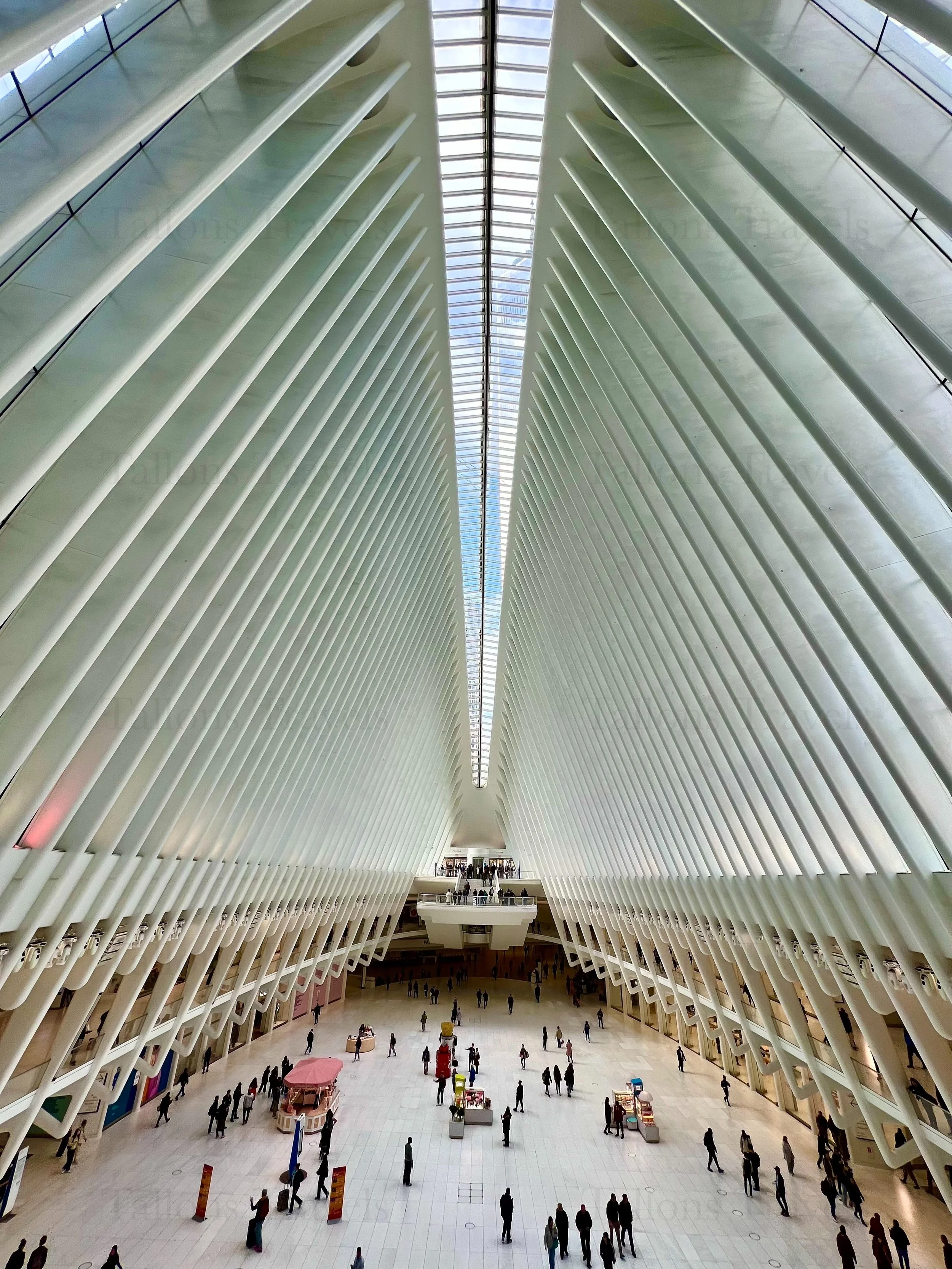 eZy Watermark_23-01-2026_11-18-55-5420PM.jpg